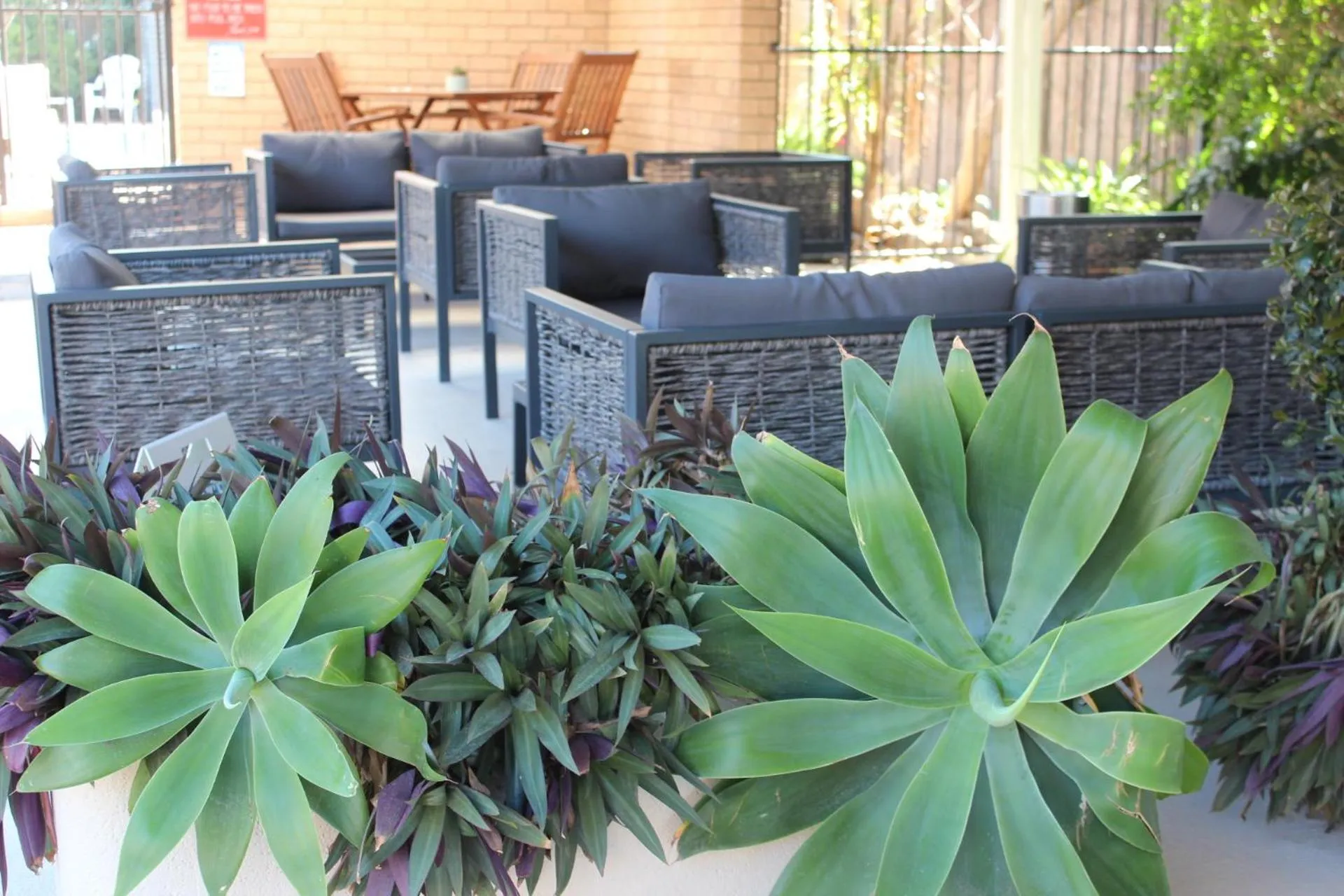 Golden Harvest Motor Inn Moree