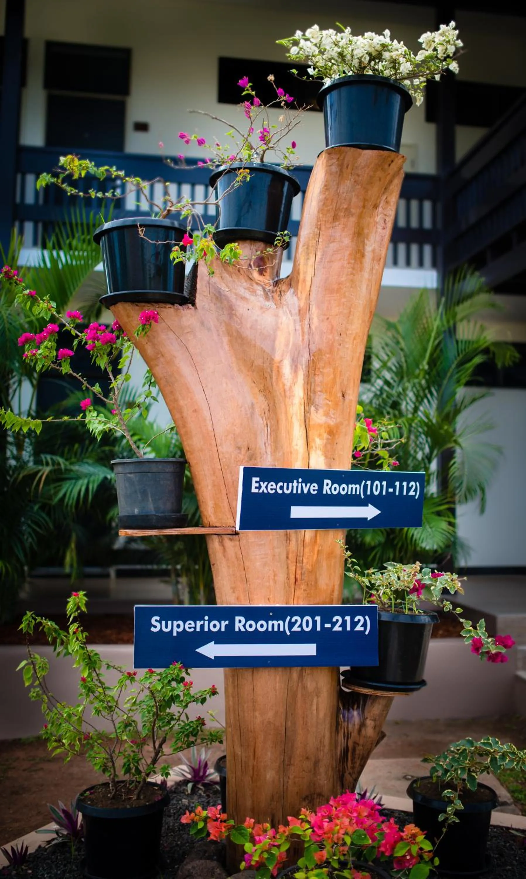 Property building in Tanoa Rakiraki Hotel