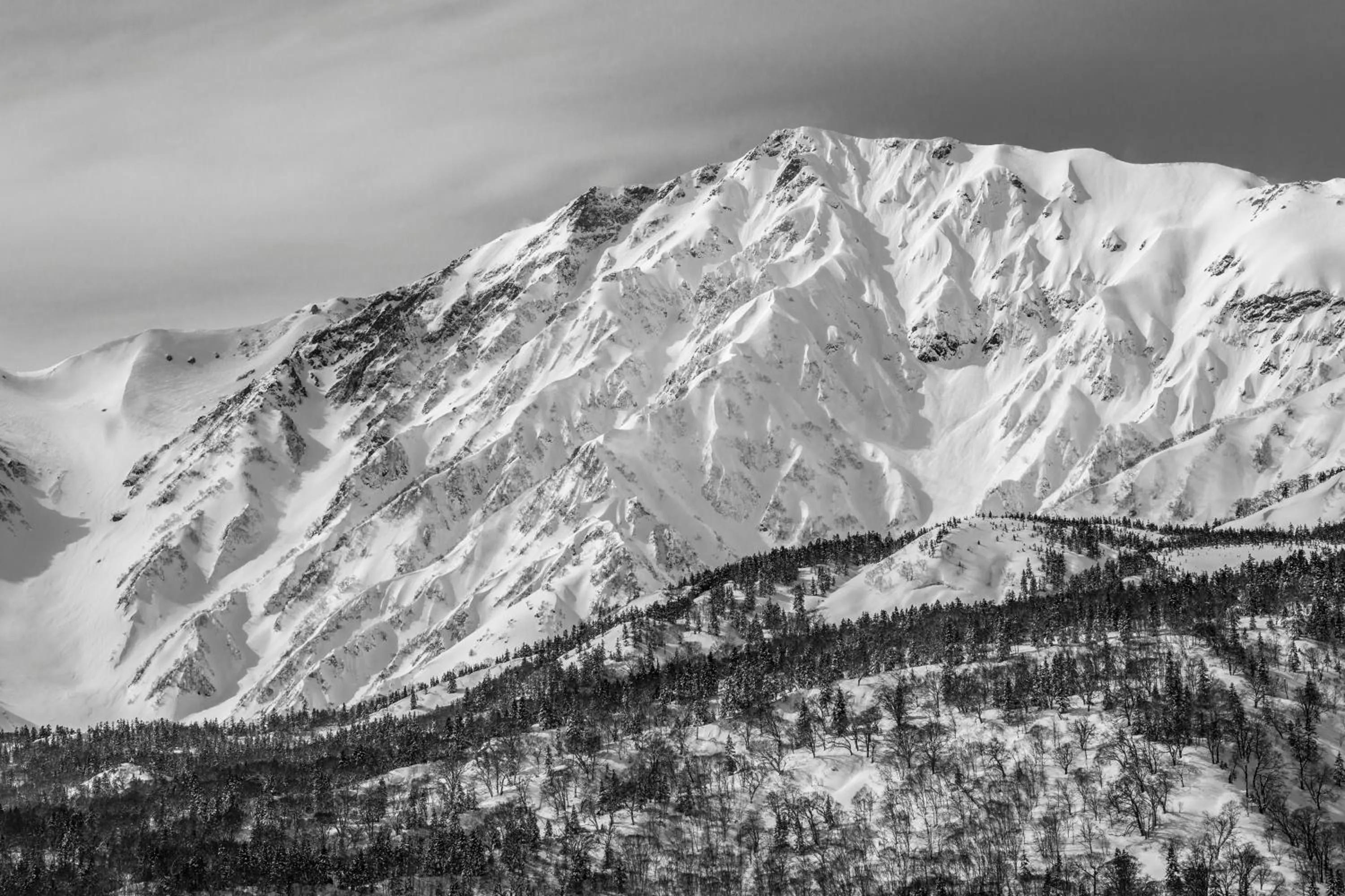 Natural landscape in Morino Lodge - Hakuba