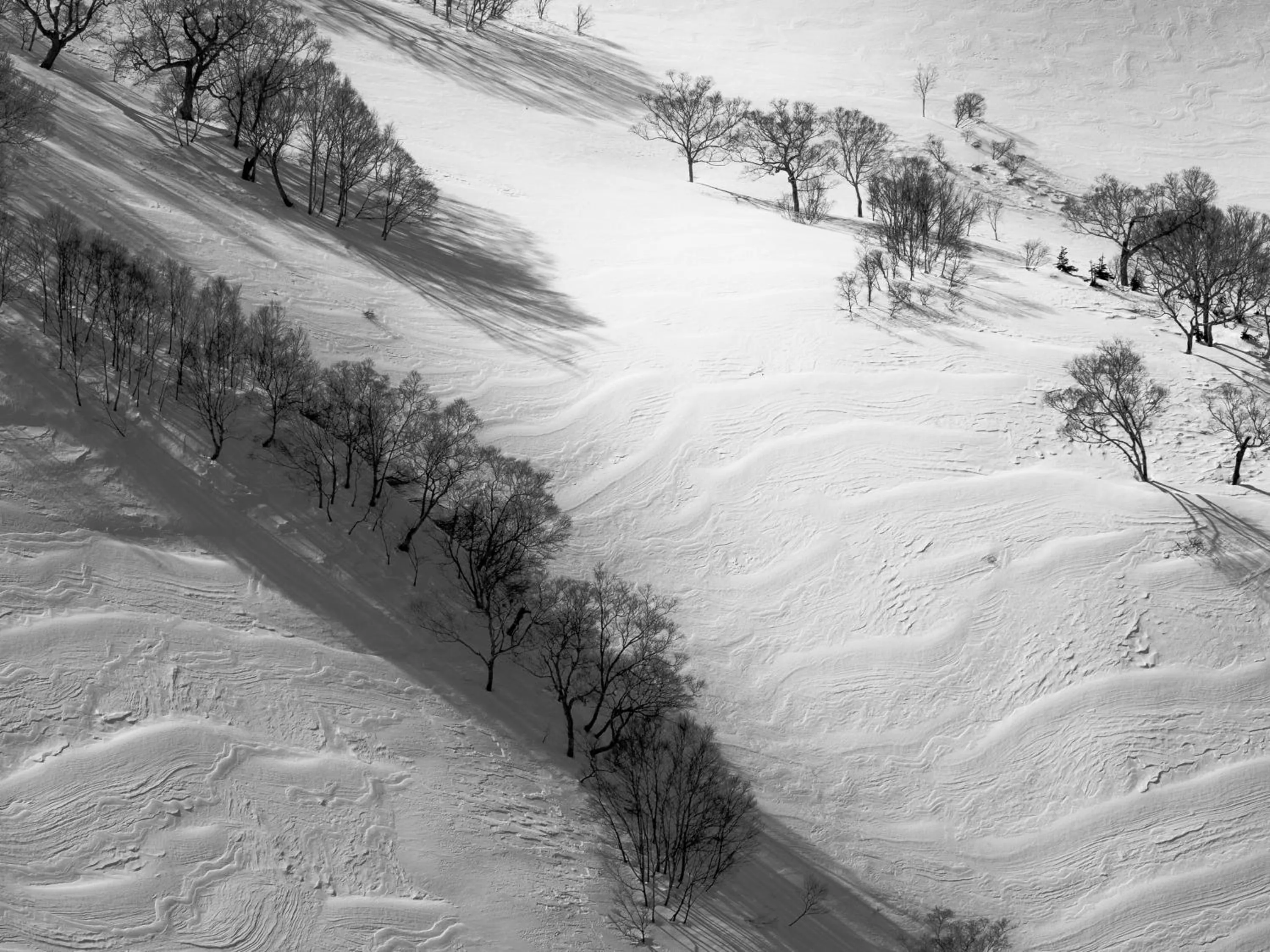 Natural landscape in Morino Lodge - Hakuba
