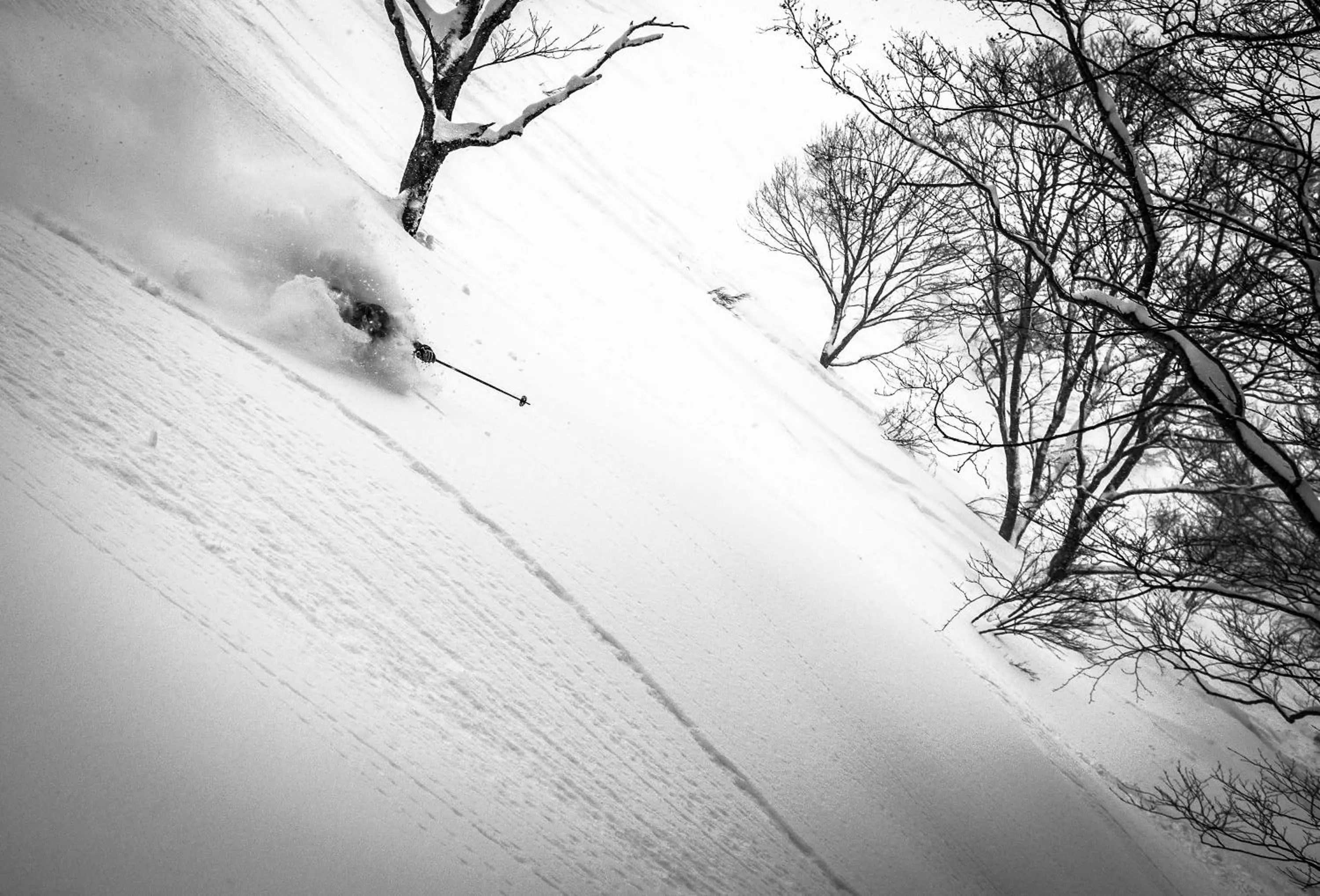 Skiing in Morino Lodge - Hakuba