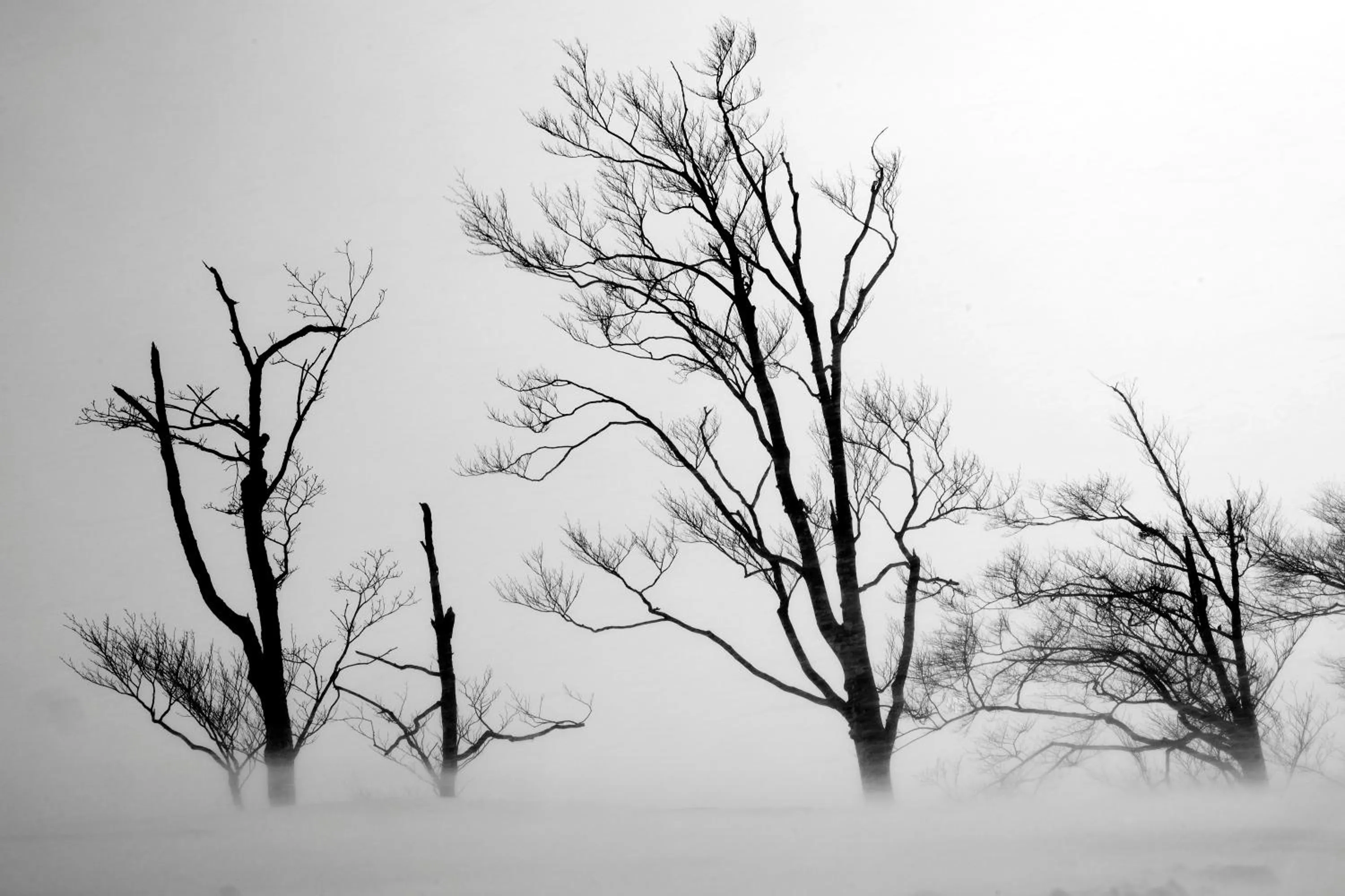Natural landscape in Morino Lodge - Hakuba