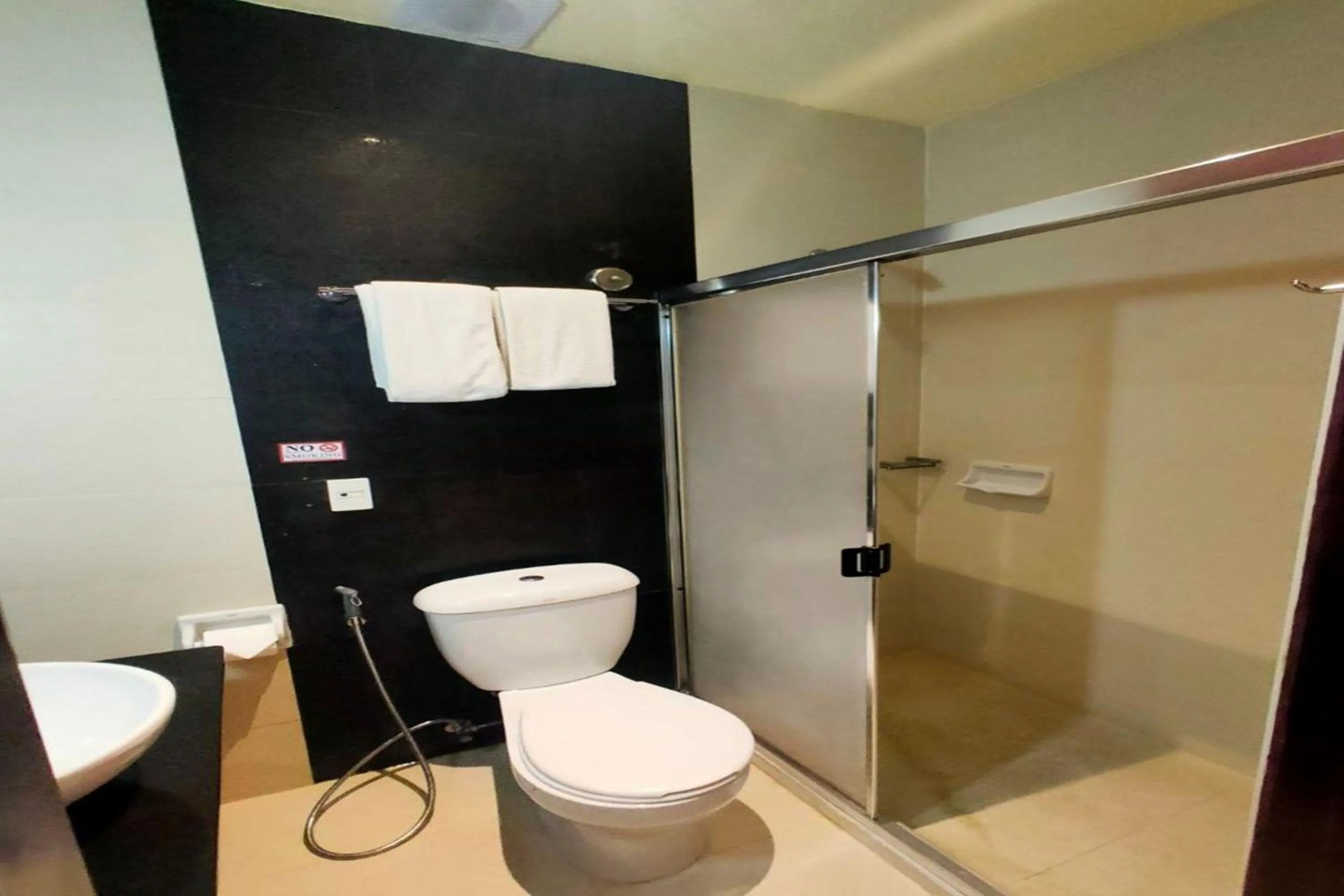 Shower in Hotel Centro Puerto Princesa Near Airport