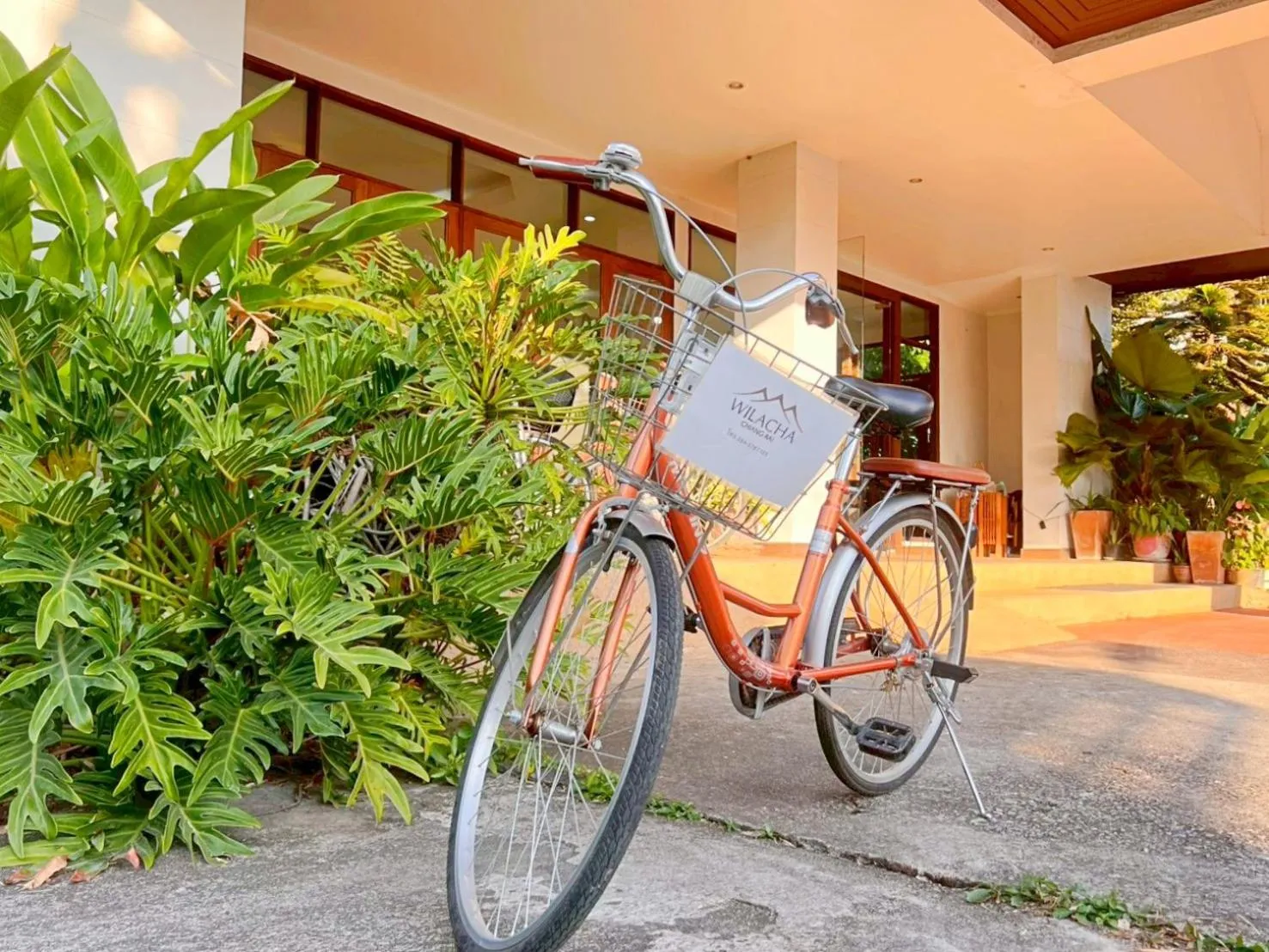 Activities in Wilacha Chiang Rai