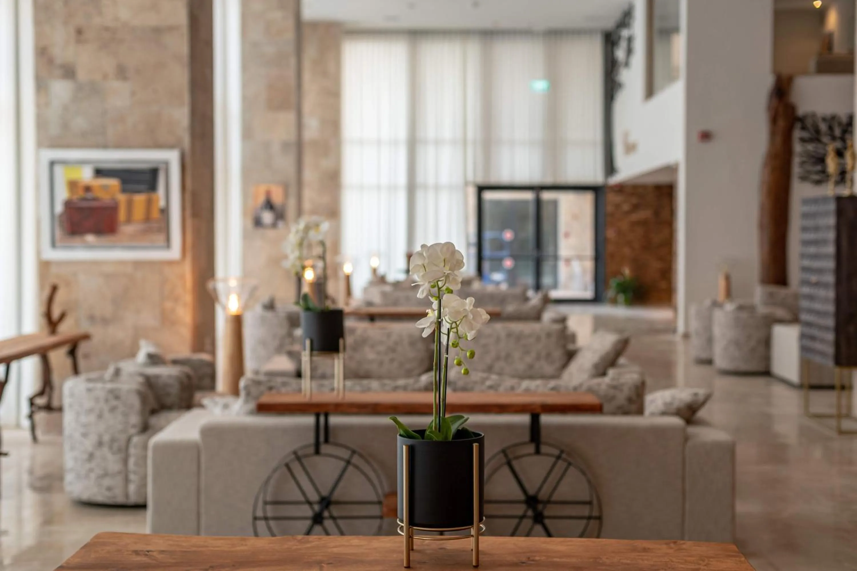 Lobby or reception in Kedem Hotel - Adults Only