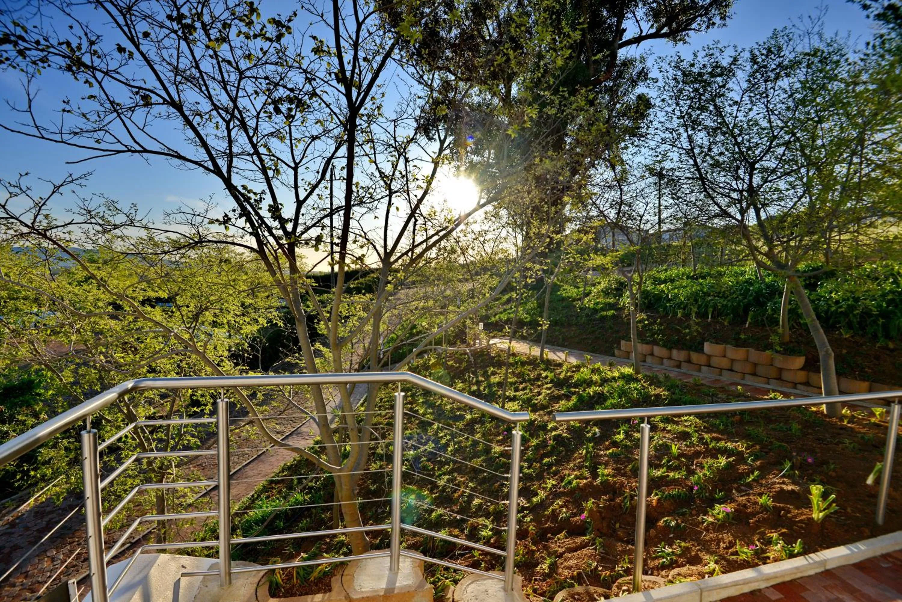Natural landscape in Val Du Charron Wine & Leisure Estate