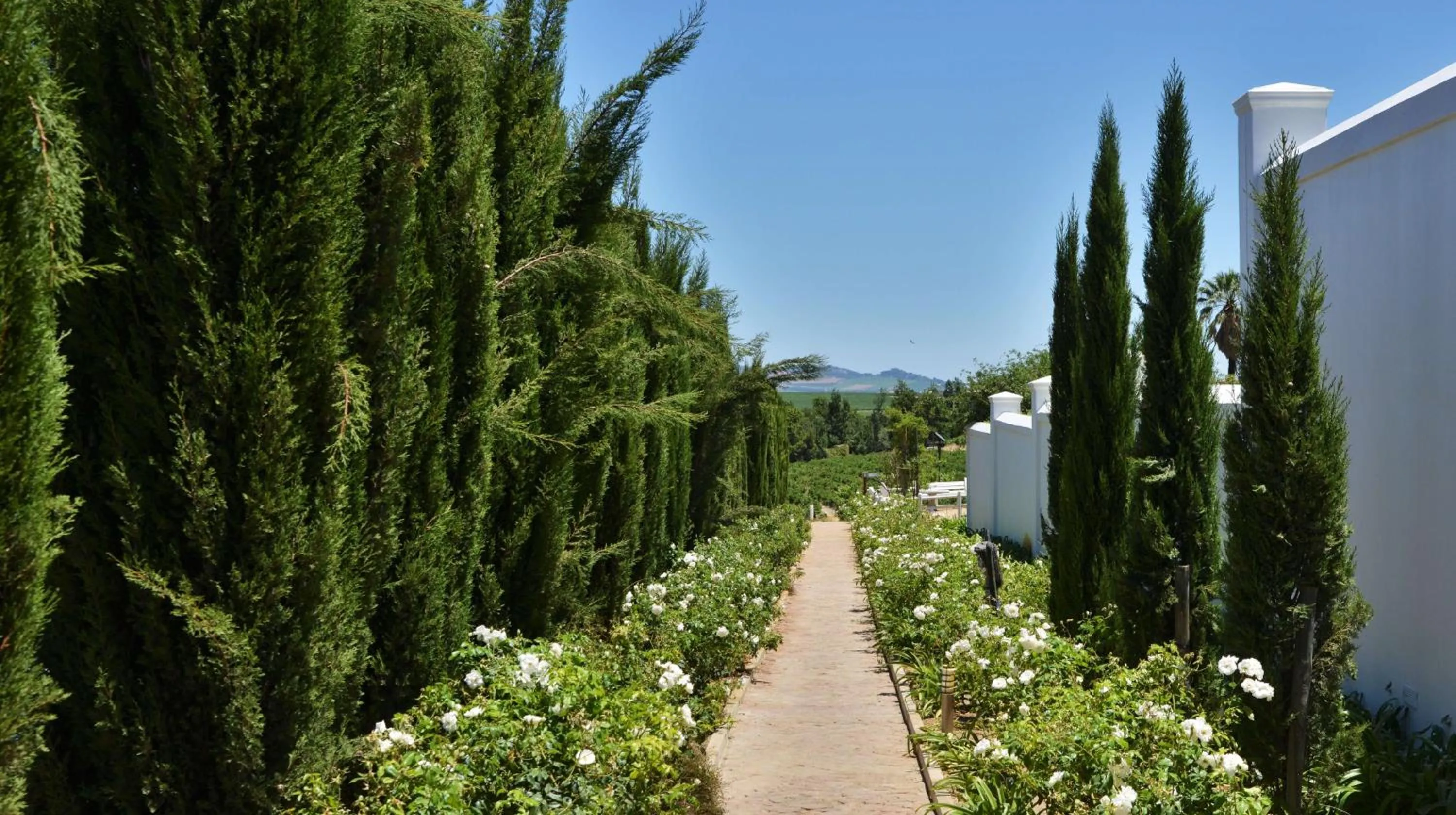Natural landscape in Val Du Charron Wine & Leisure Estate