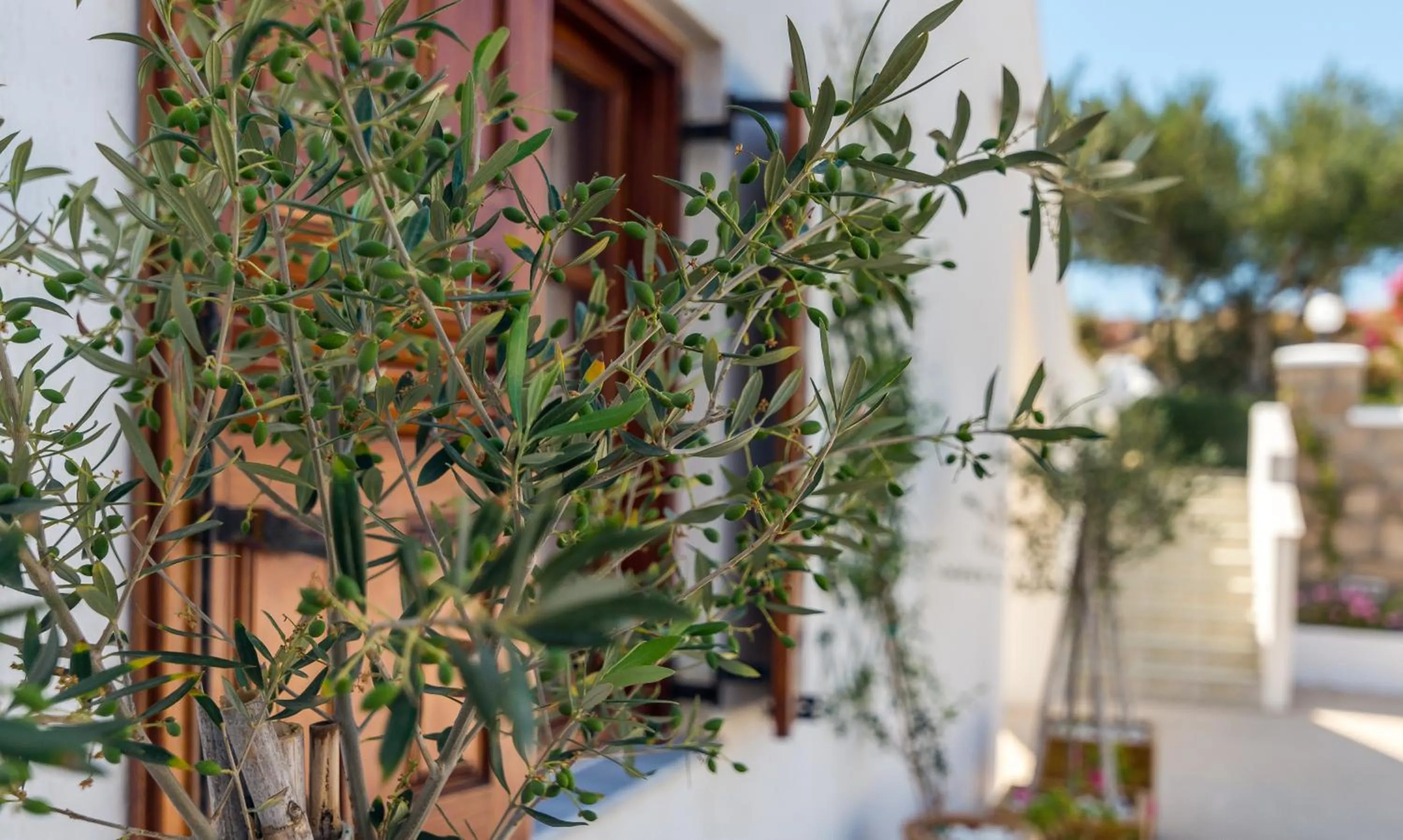 Other in Konstantinos