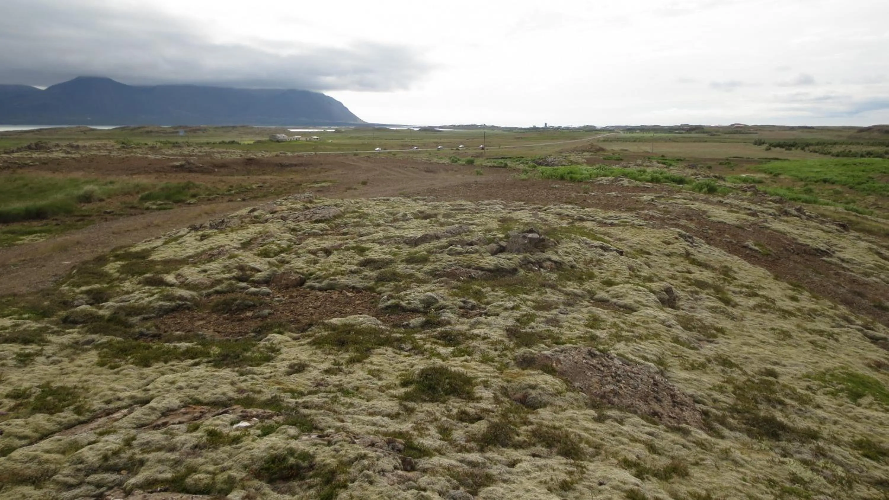 Area and facilities in Lækjarkot Rooms and Cottages with Kitchen