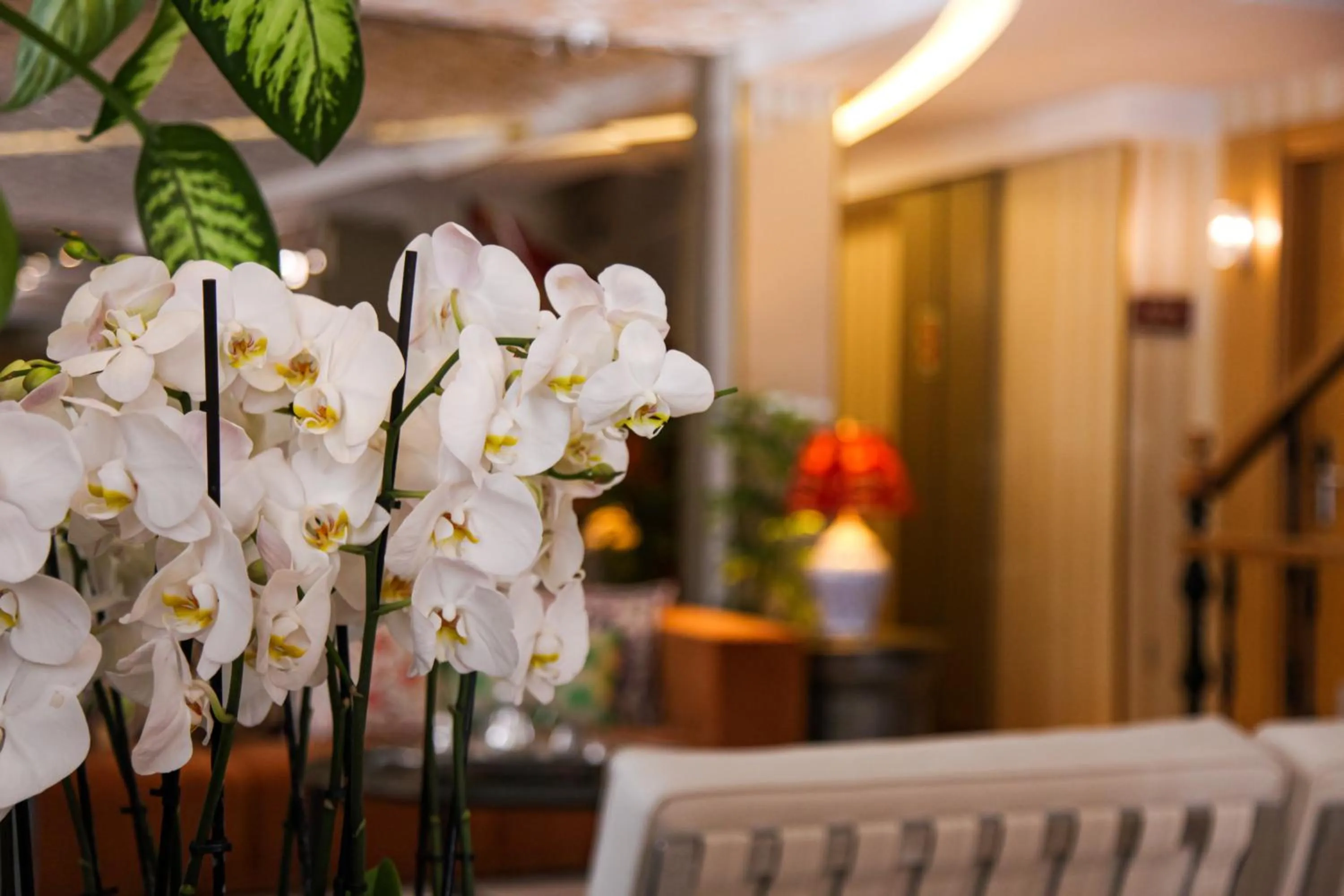 Darts in Almina Hotel - Special Class