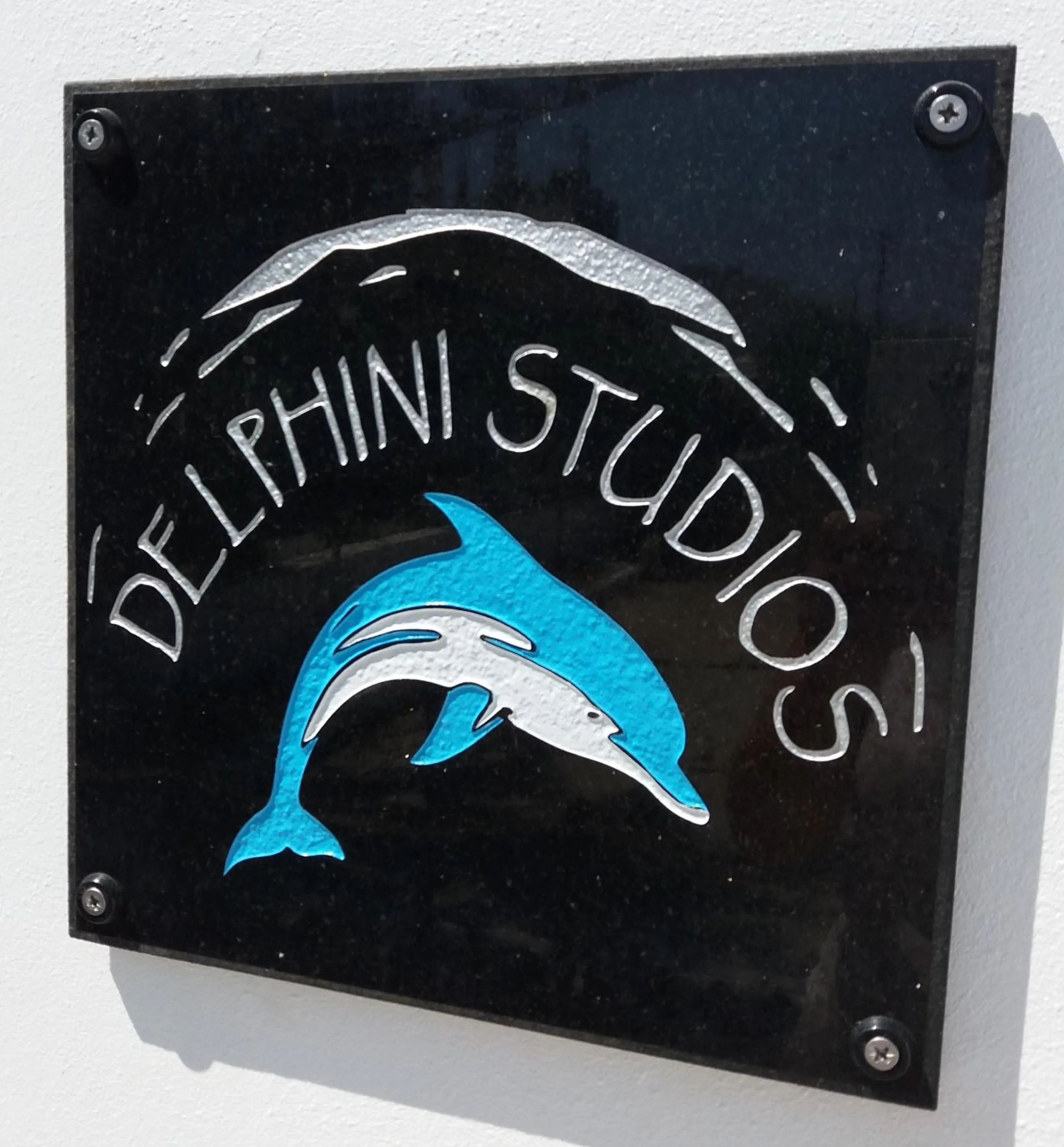 Property logo or sign in Delphini Studios - for the disabled