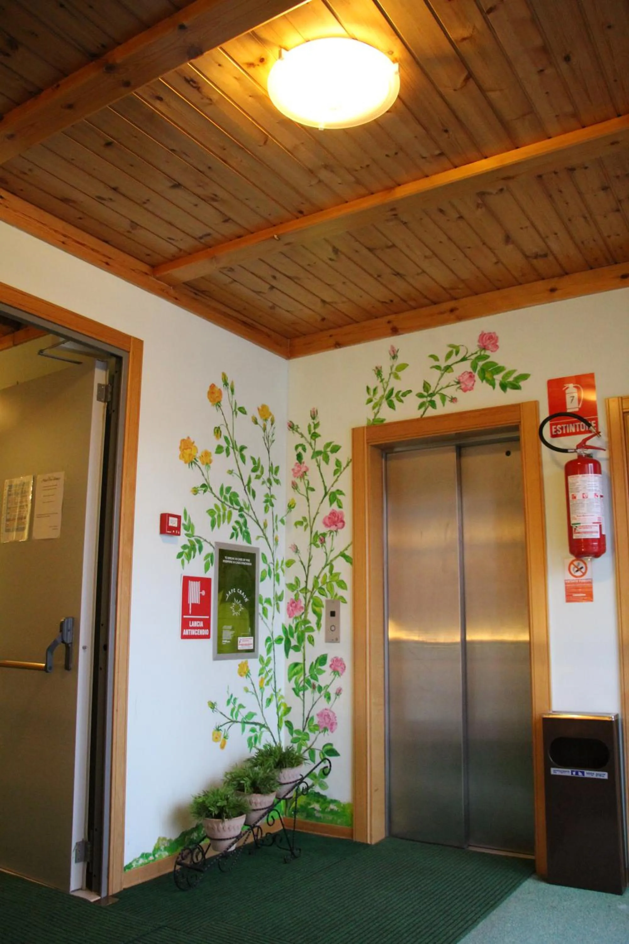 Area and facilities in Hotel Orso Bianco