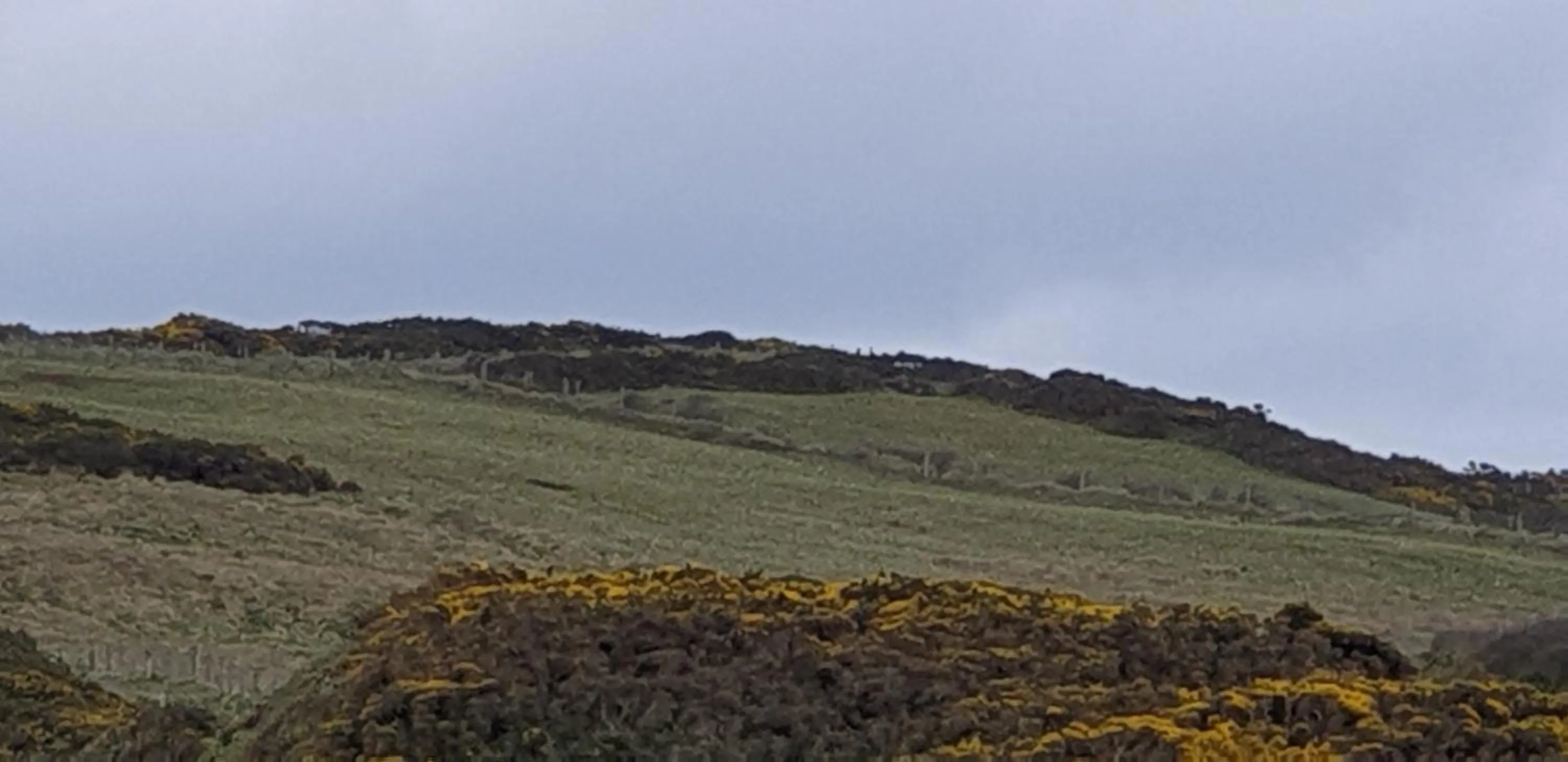 Natural landscape in Causeway Hotel