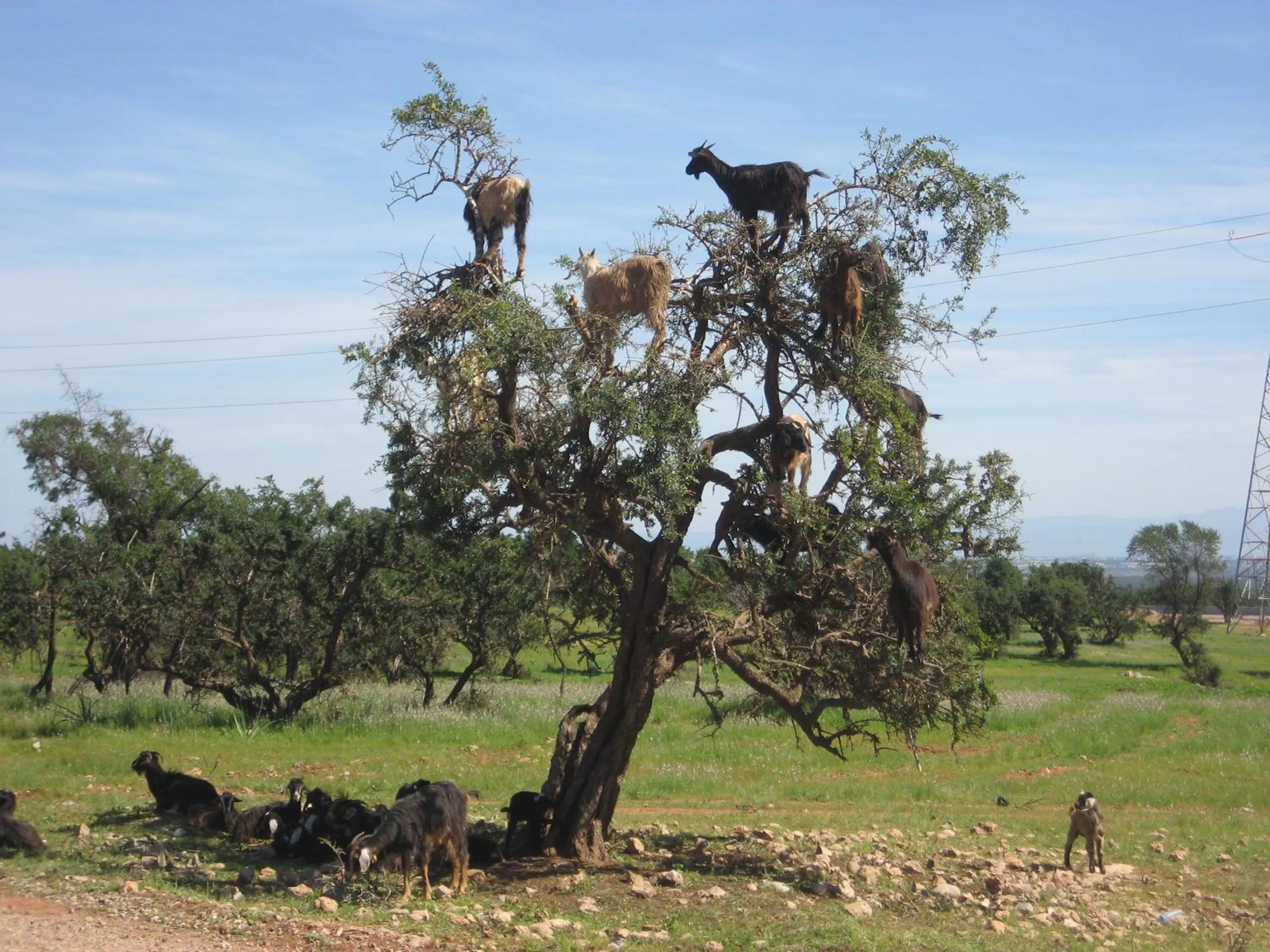 Off site in Villa Sunset B&B