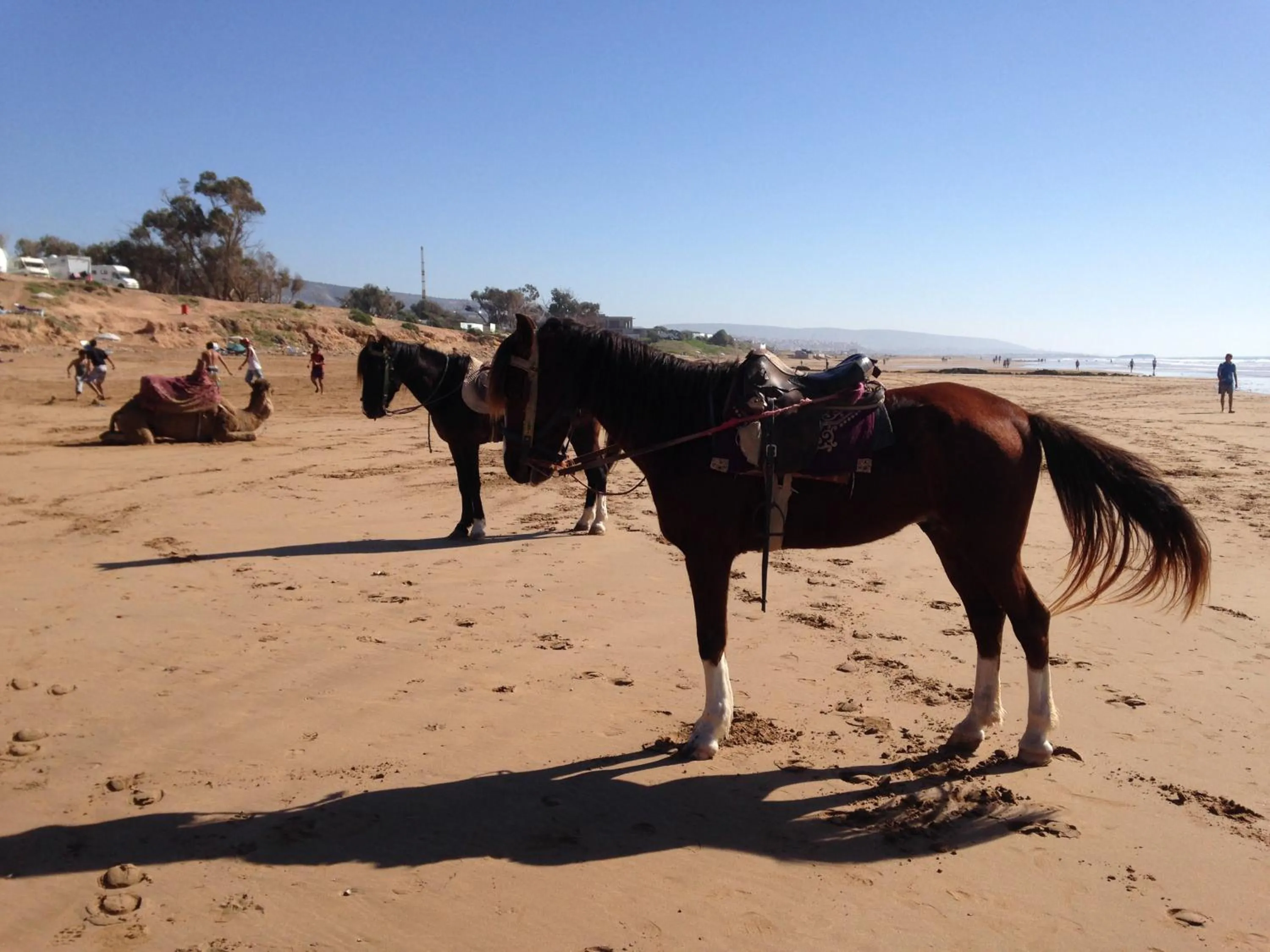 Horse-riding in Villa Sunset B&B