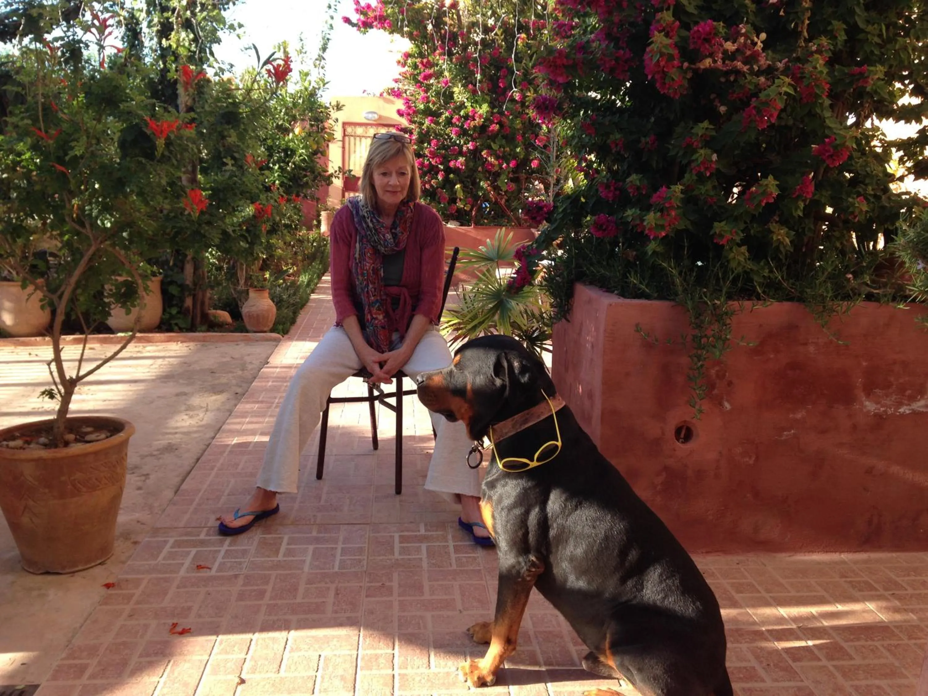 Garden in Villa Sunset B&B