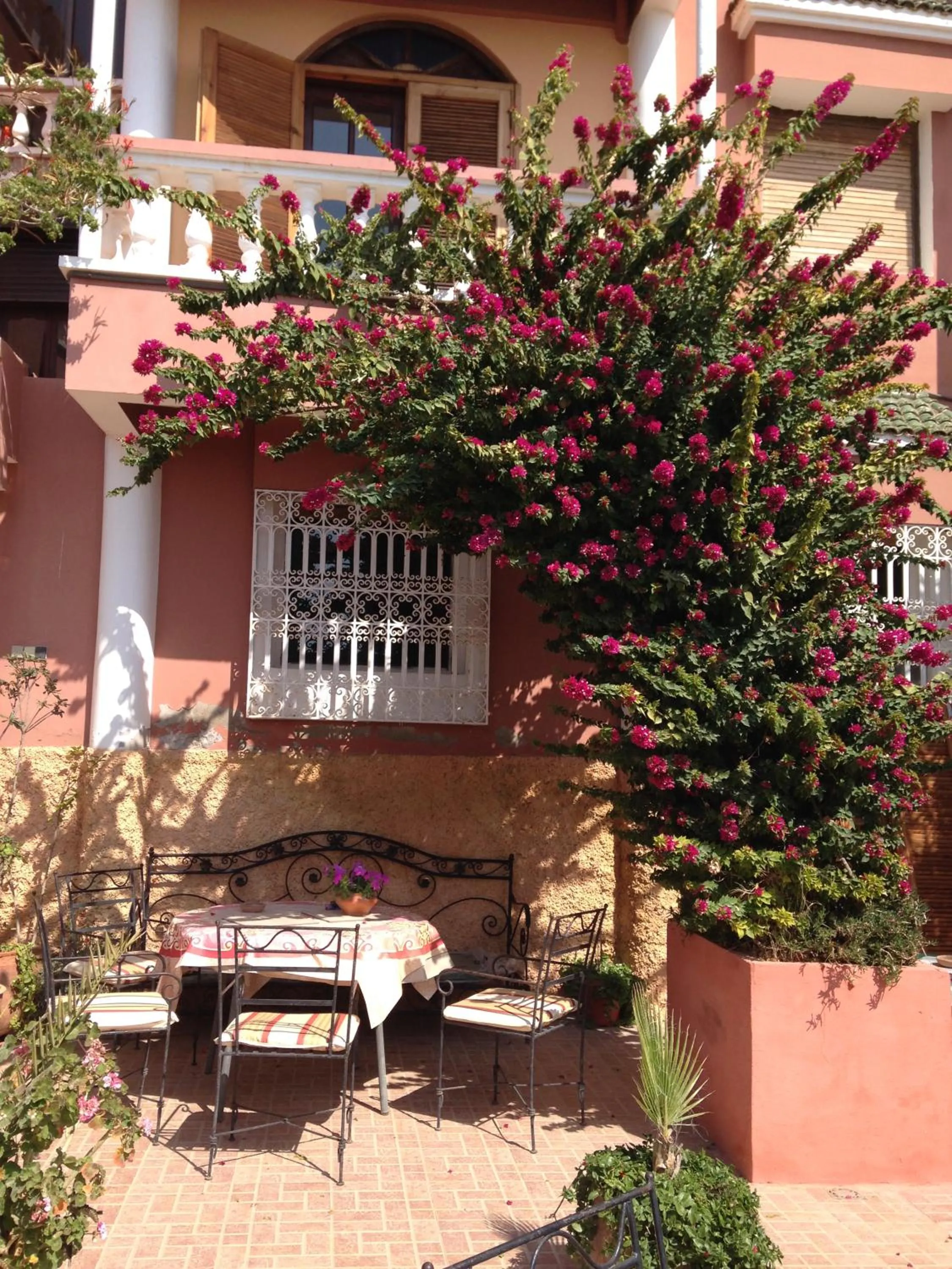 Garden in Villa Sunset B&B