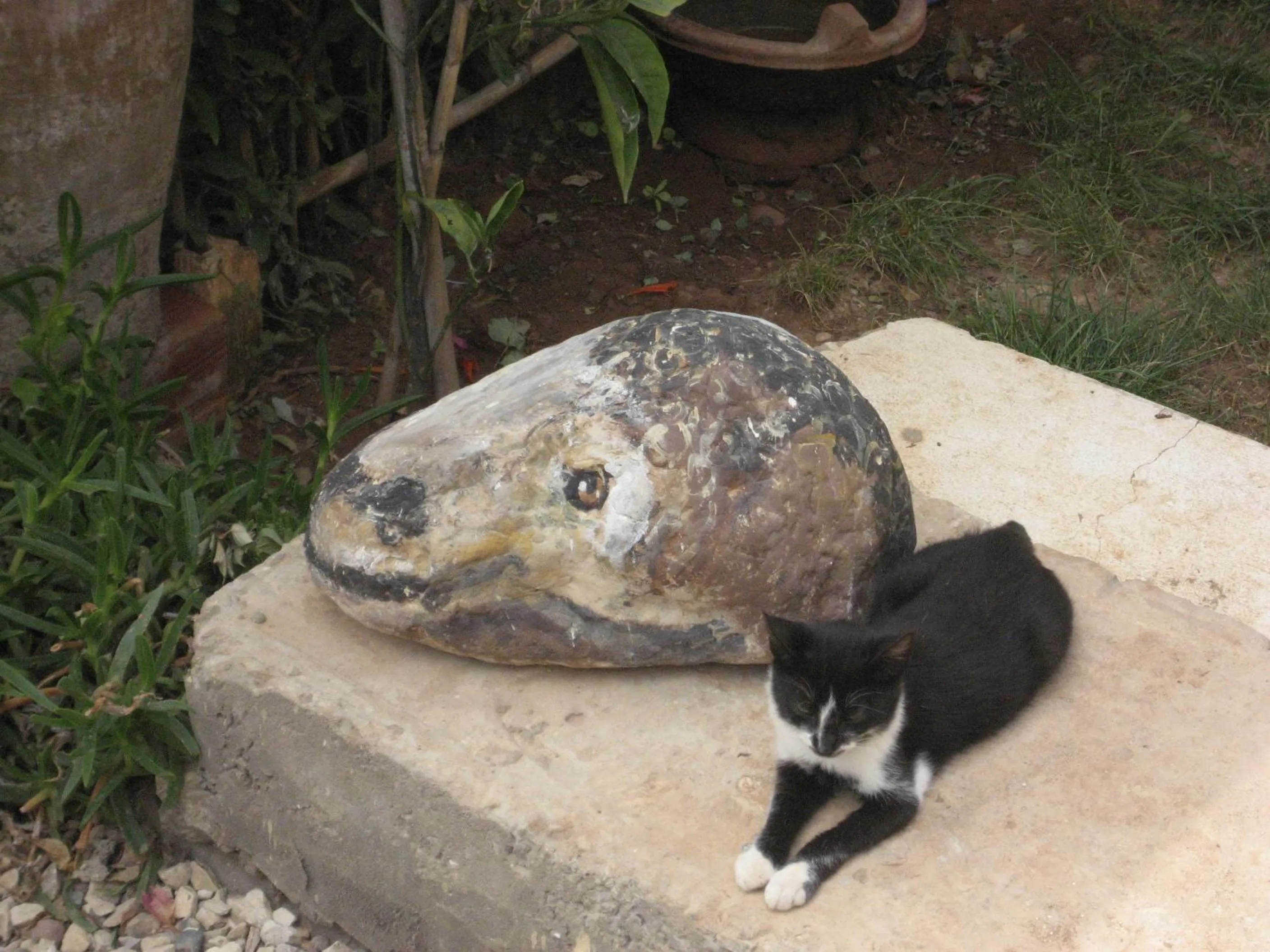 Garden in Villa Sunset B&B