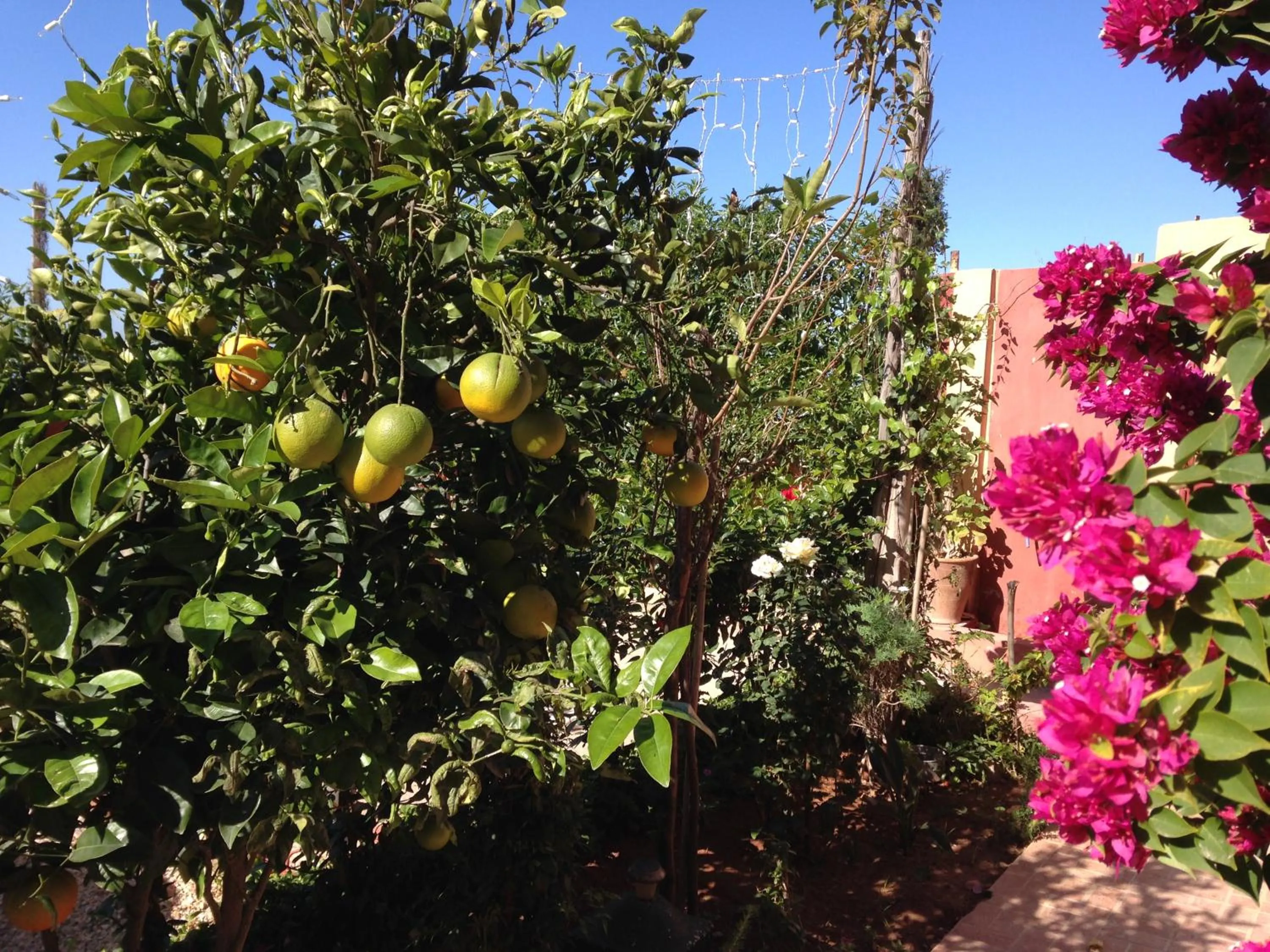 Winter in Villa Sunset B&B