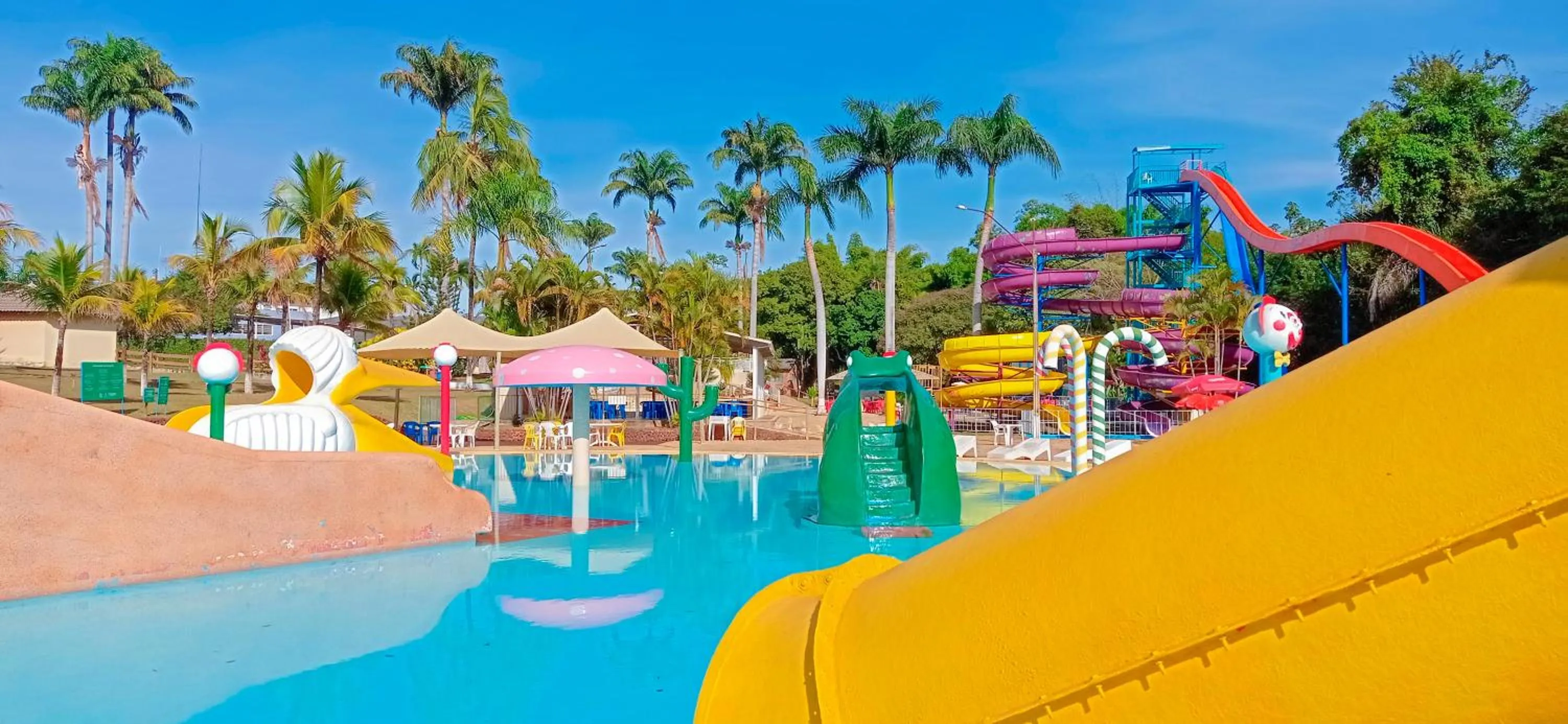 Caldas Park & Hotel Caldas Novas