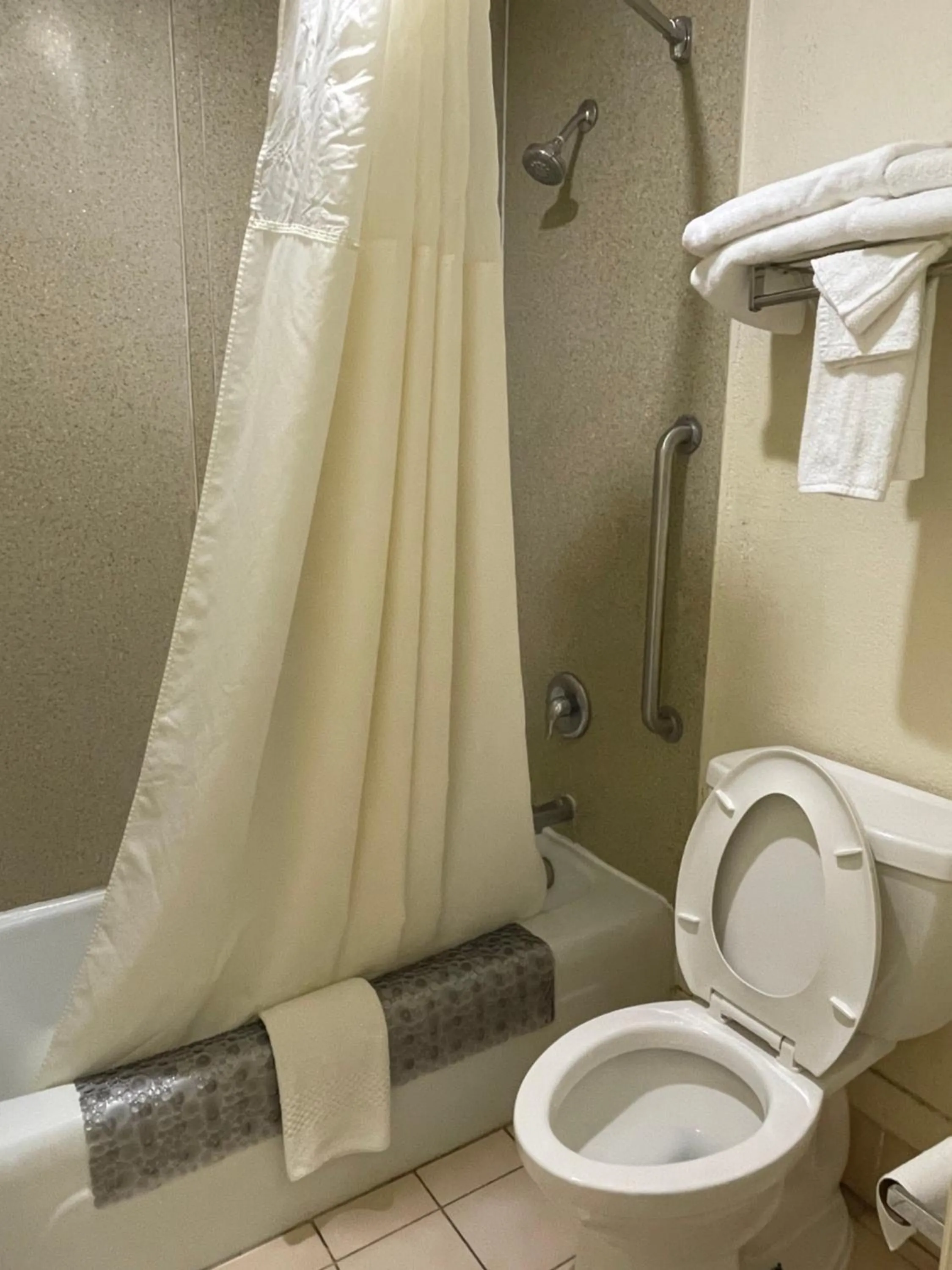 Bathroom in Quality Inn Alachua - Gainesville Area