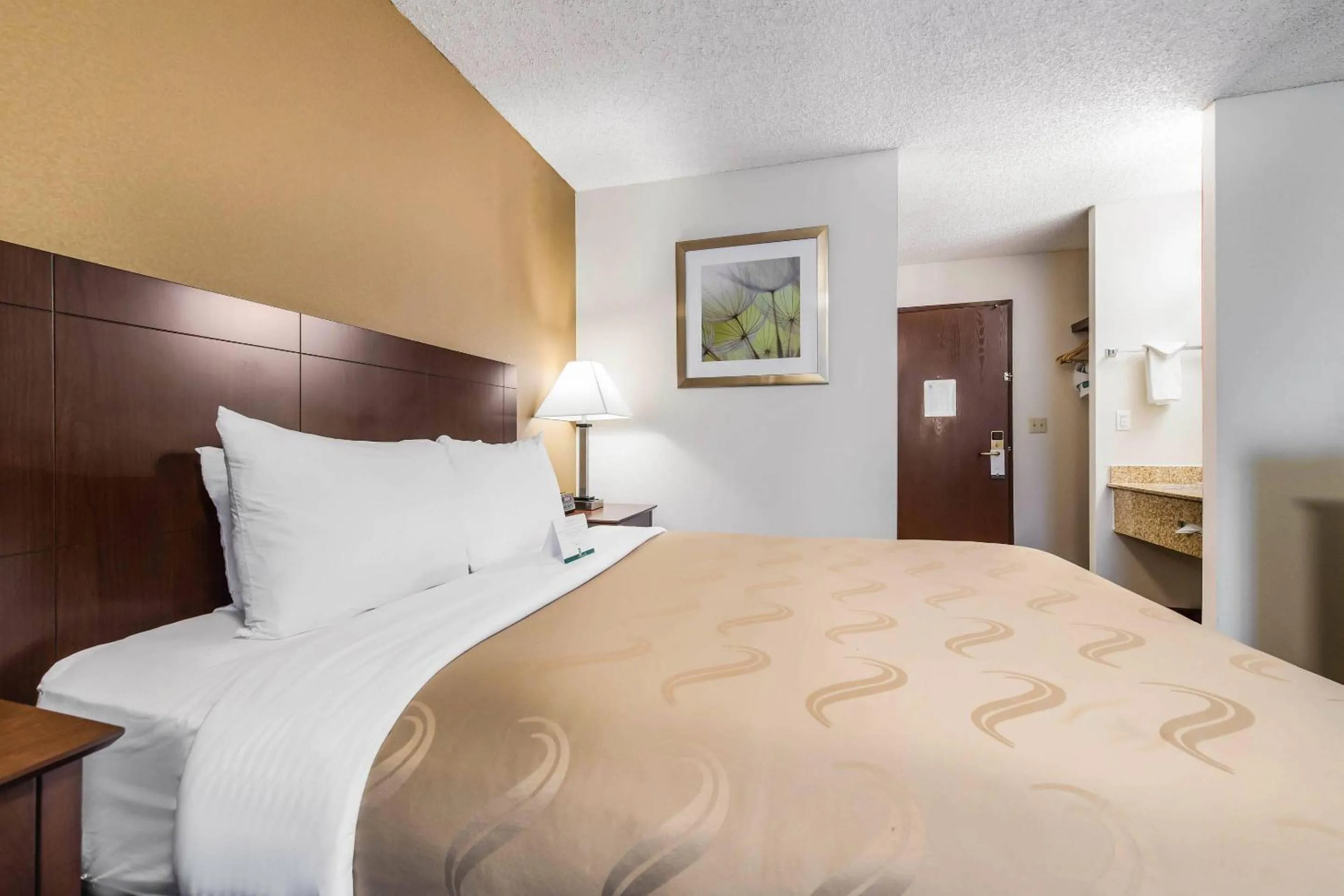 Standard Queen Room - Non-Smoking/Pet Friendly in Quality Inn & Suites Lacey Olympia