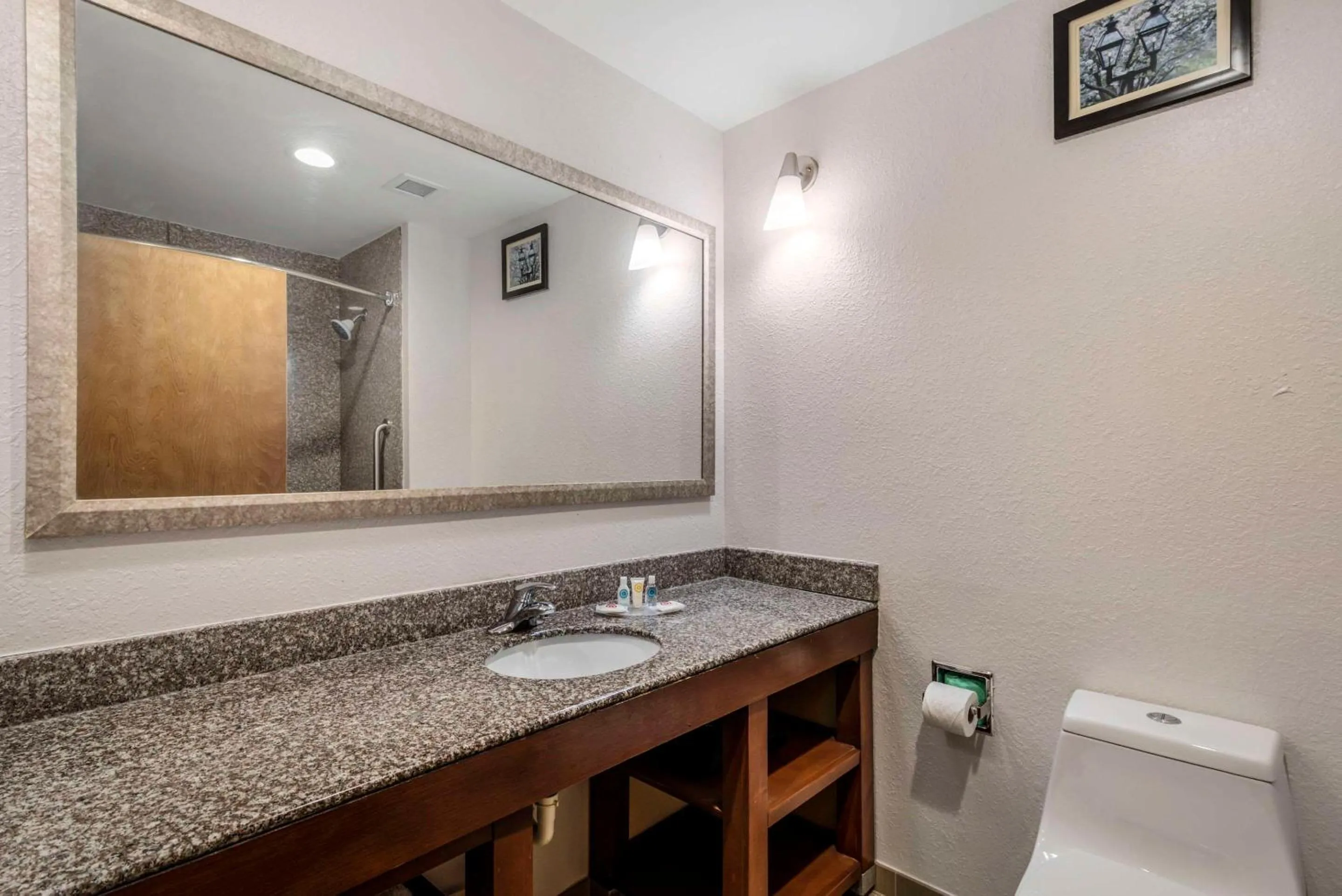 Bedroom in Comfort Suites Macon Northwest