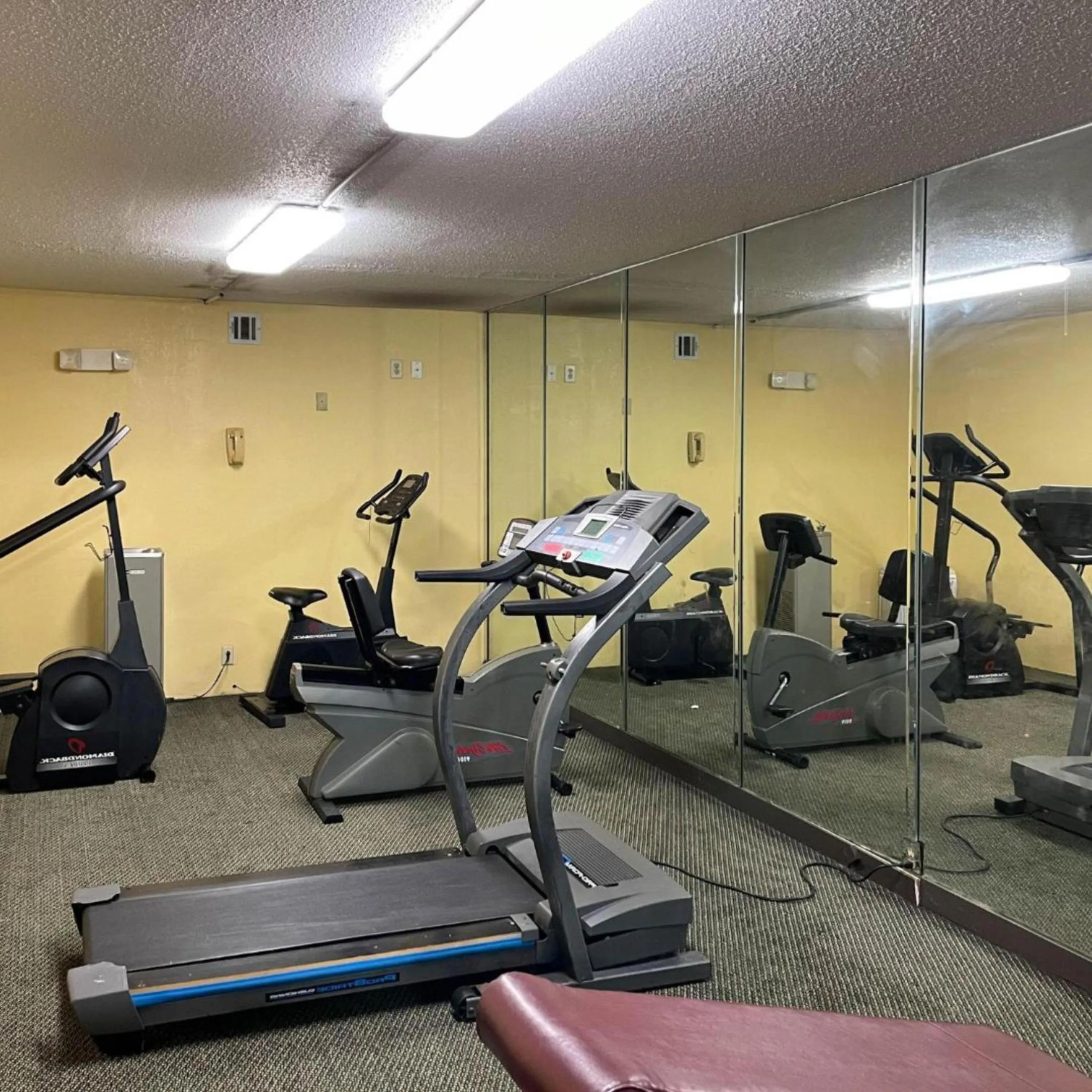 Fitness centre/facilities in Motel 6 Opelika AL