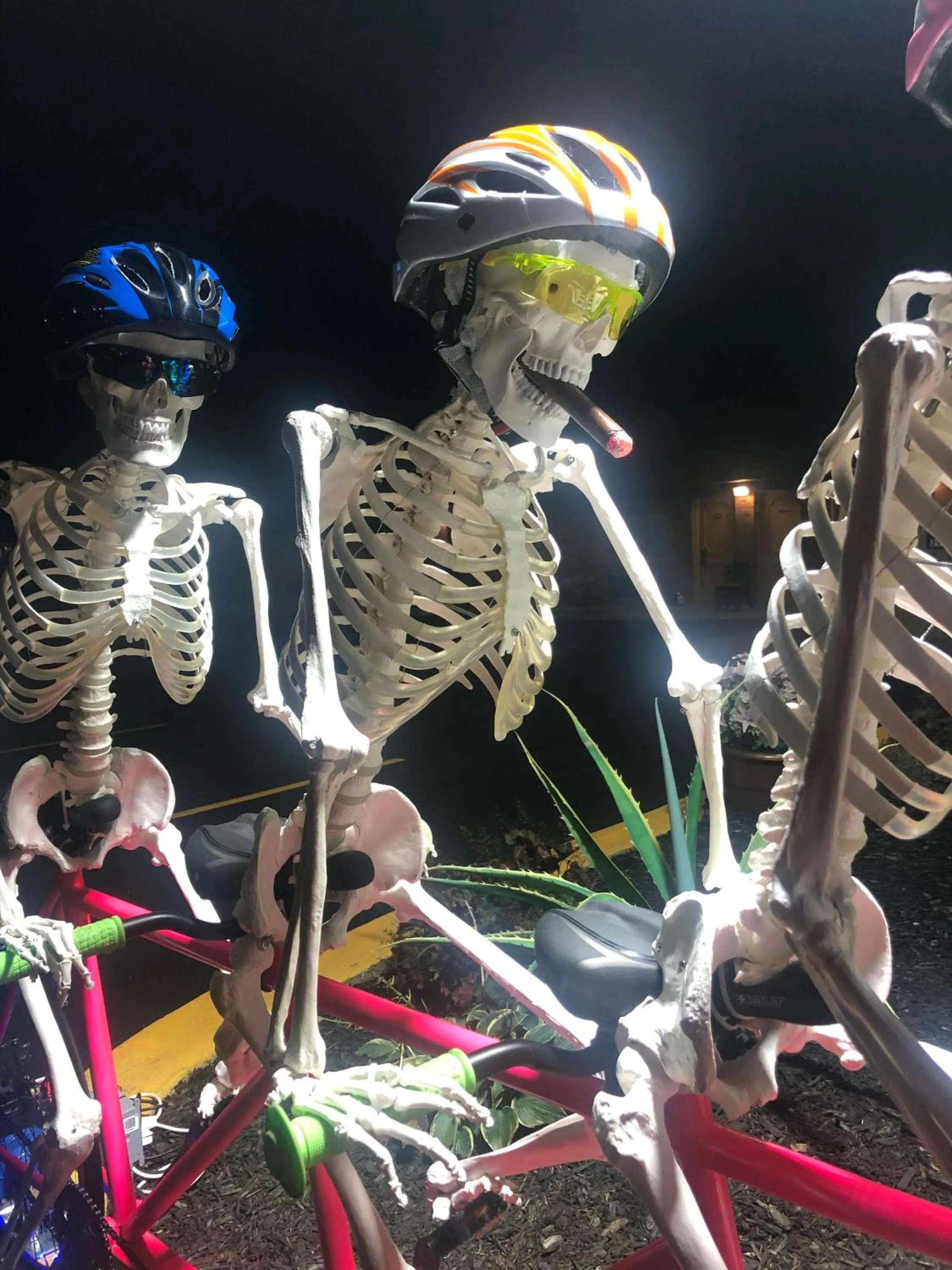 Evening entertainment in Wolf Inn Hotel