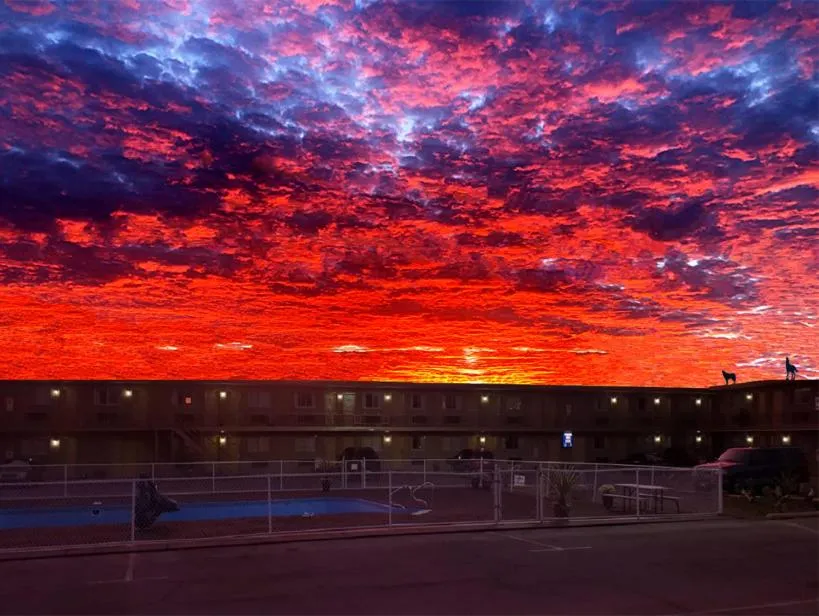 Garden in Wolf Inn Hotel