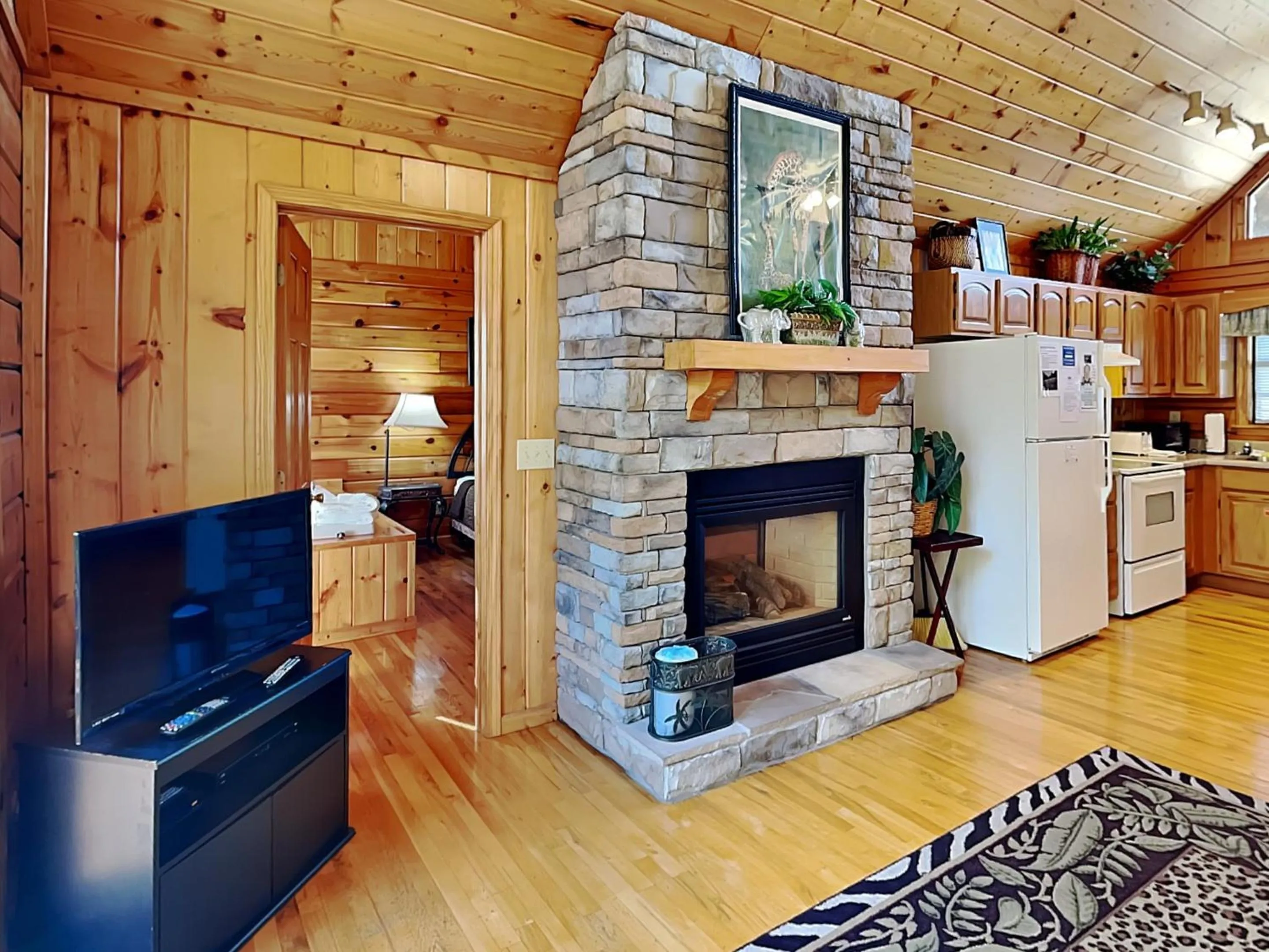 Day in African Safari