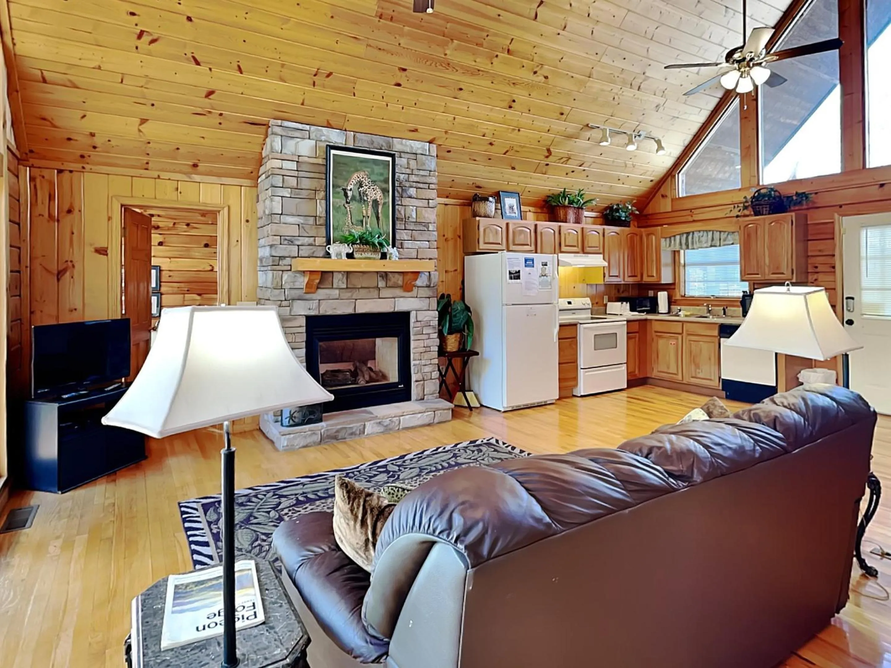 Day in African Safari