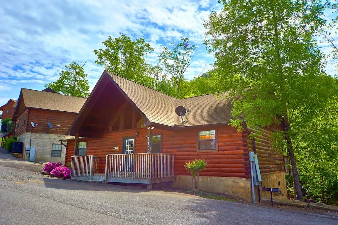 Property building in African Safari