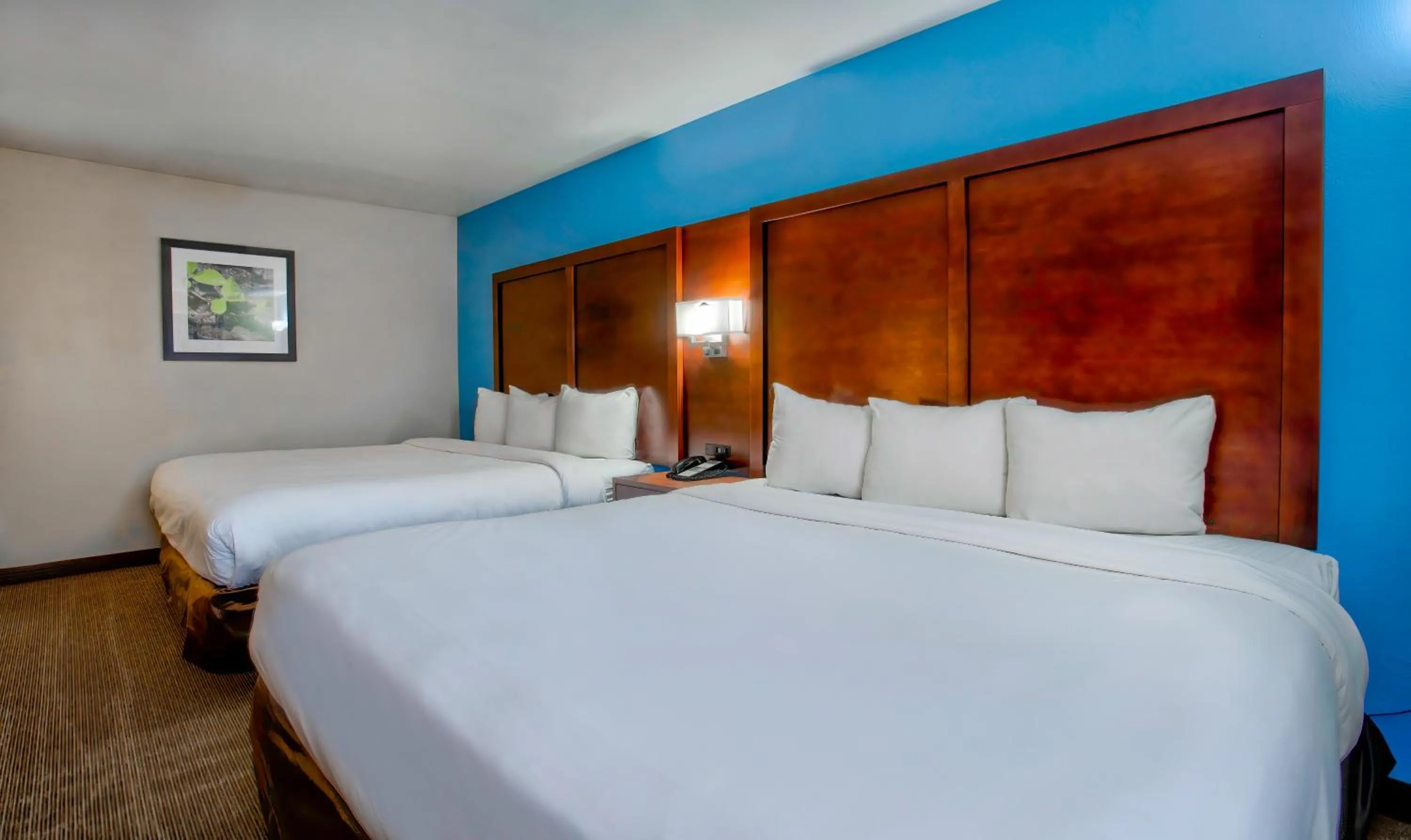 Bedroom in Motel 6 Willcox, AZ