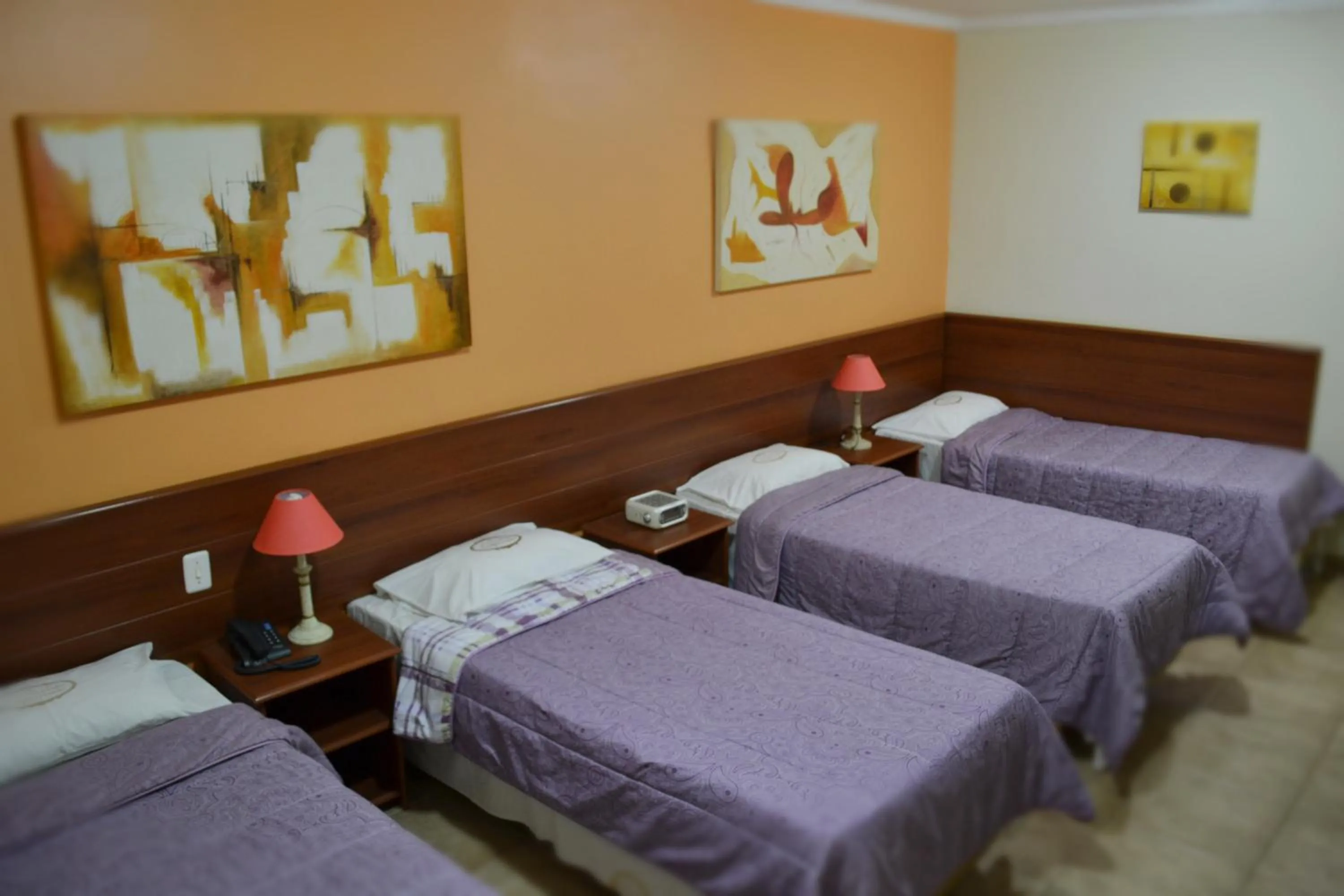 Bed in Hotel Valparaíso - Metrô Paraíso e 800m da Av Paulista