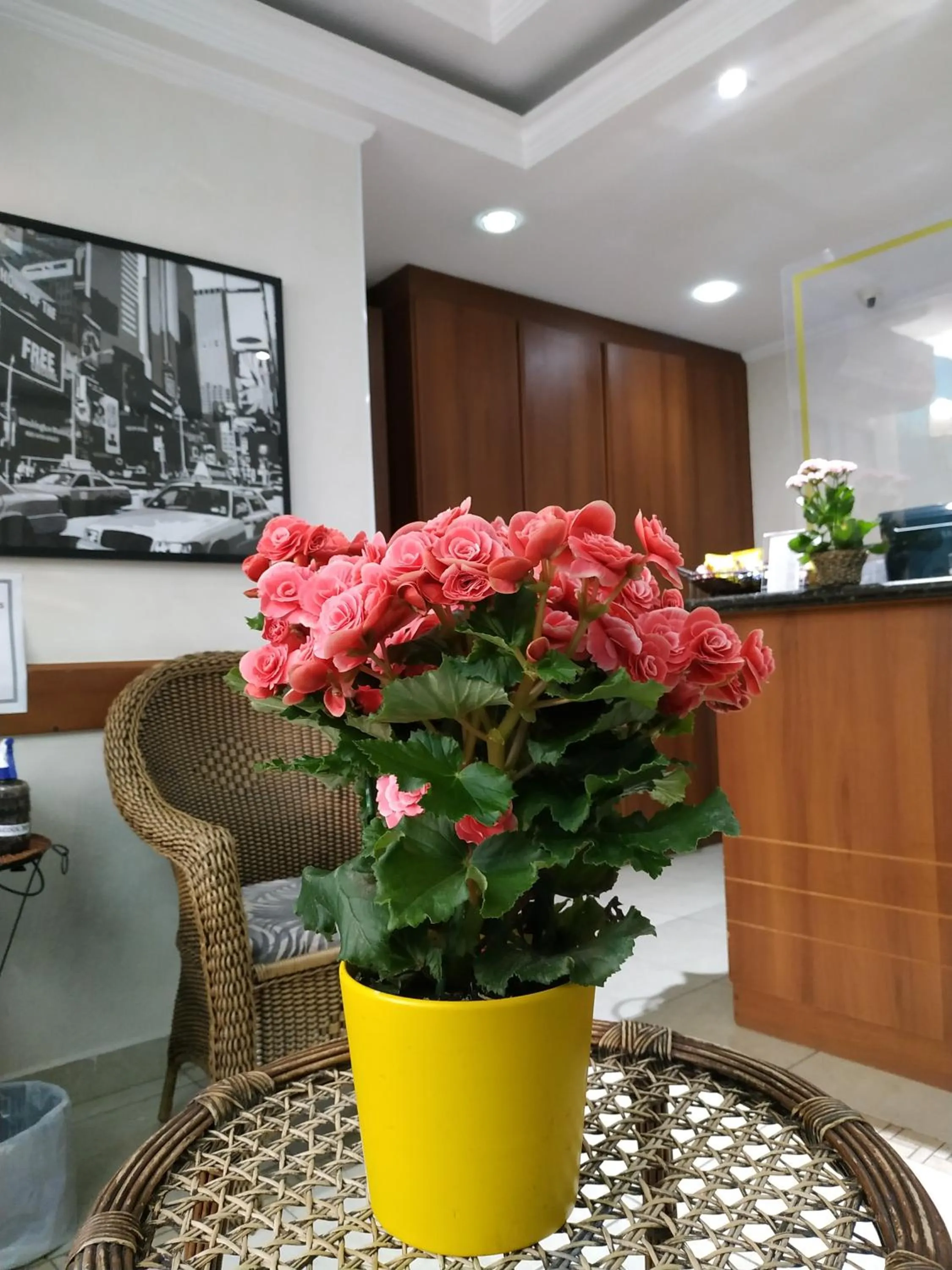 Lobby or reception in Hotel Valparaíso - Metrô Paraíso e 800m da Av Paulista