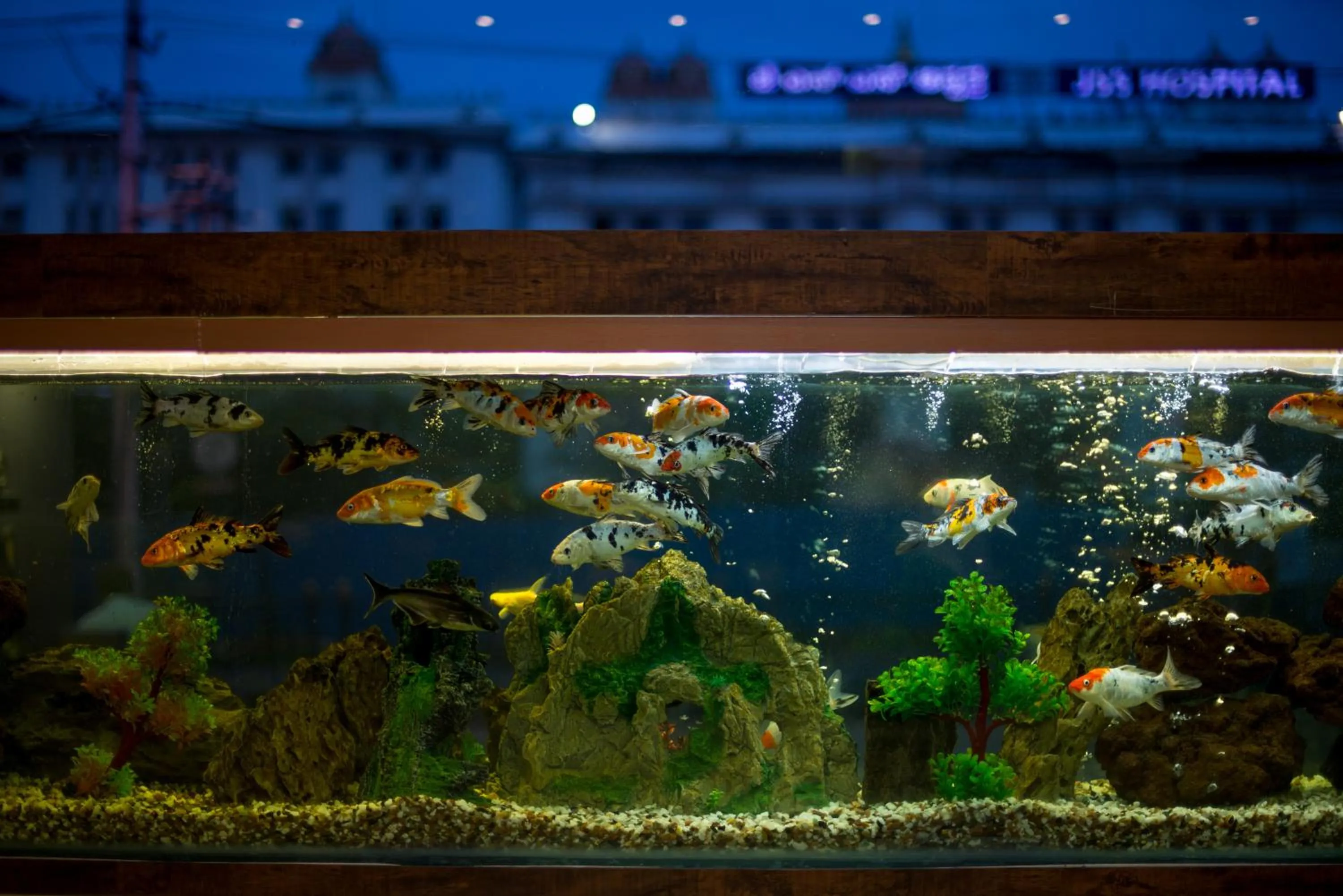 Other in Heritage Inn