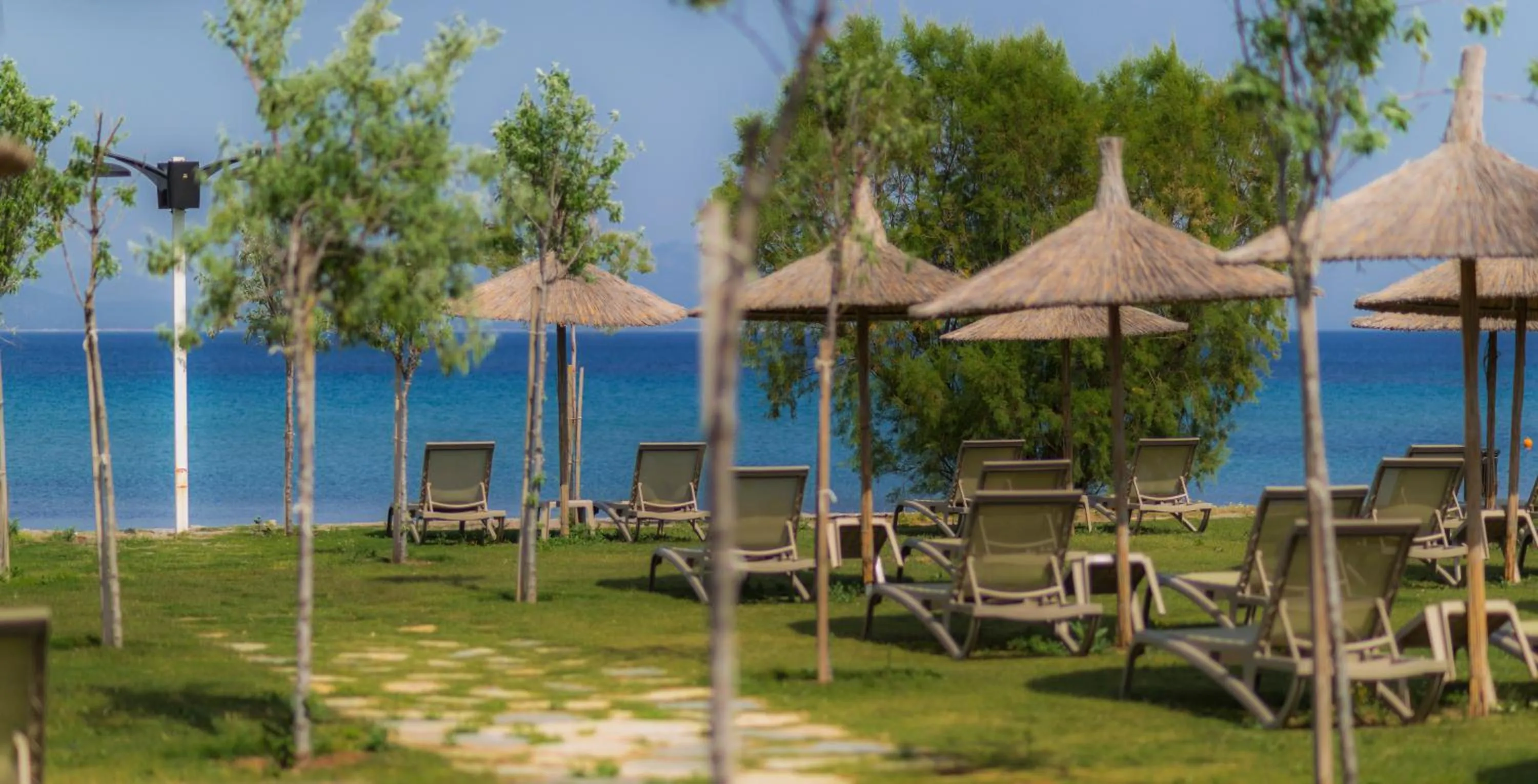 Garden in Club Marma Hotel