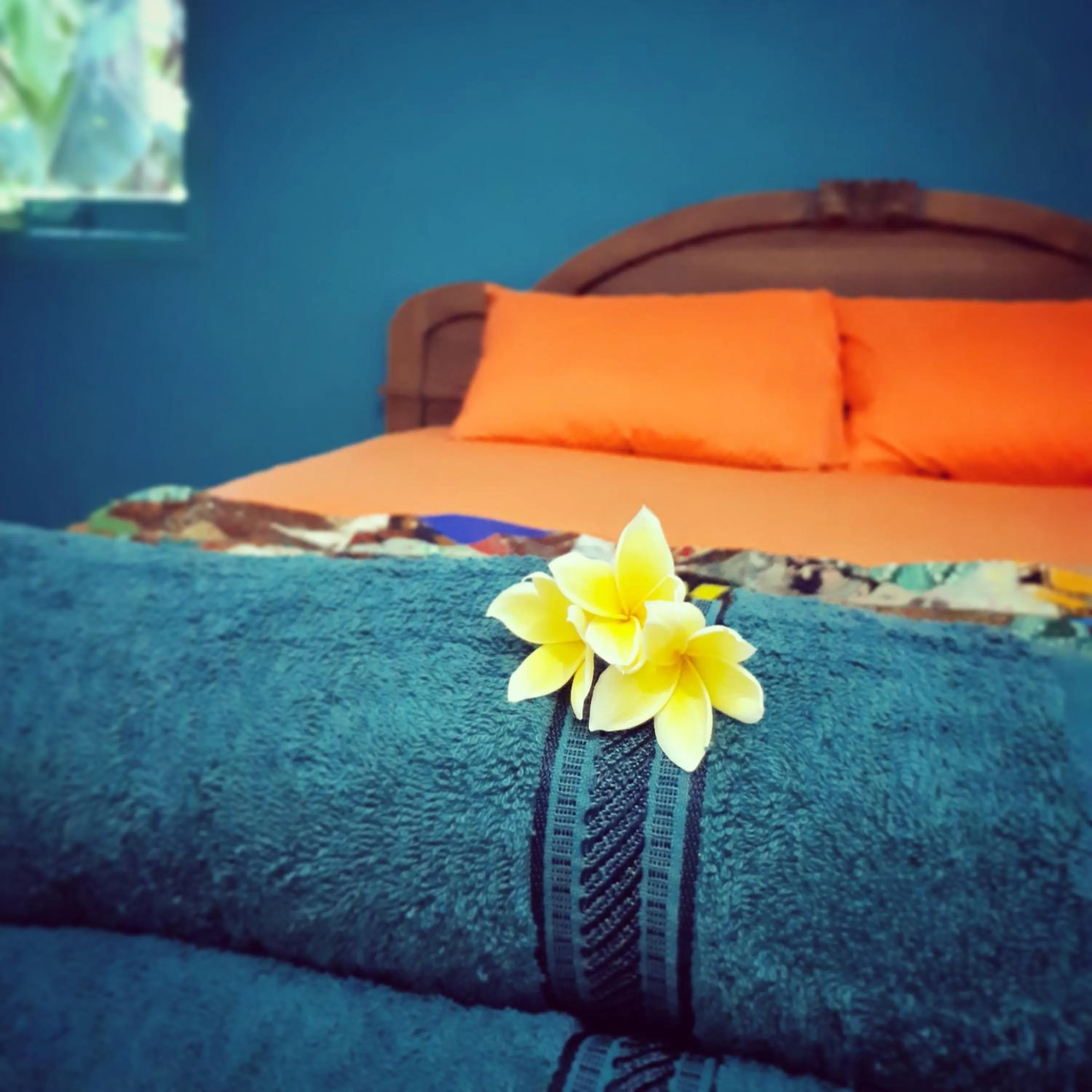 Bed in L'isola che...