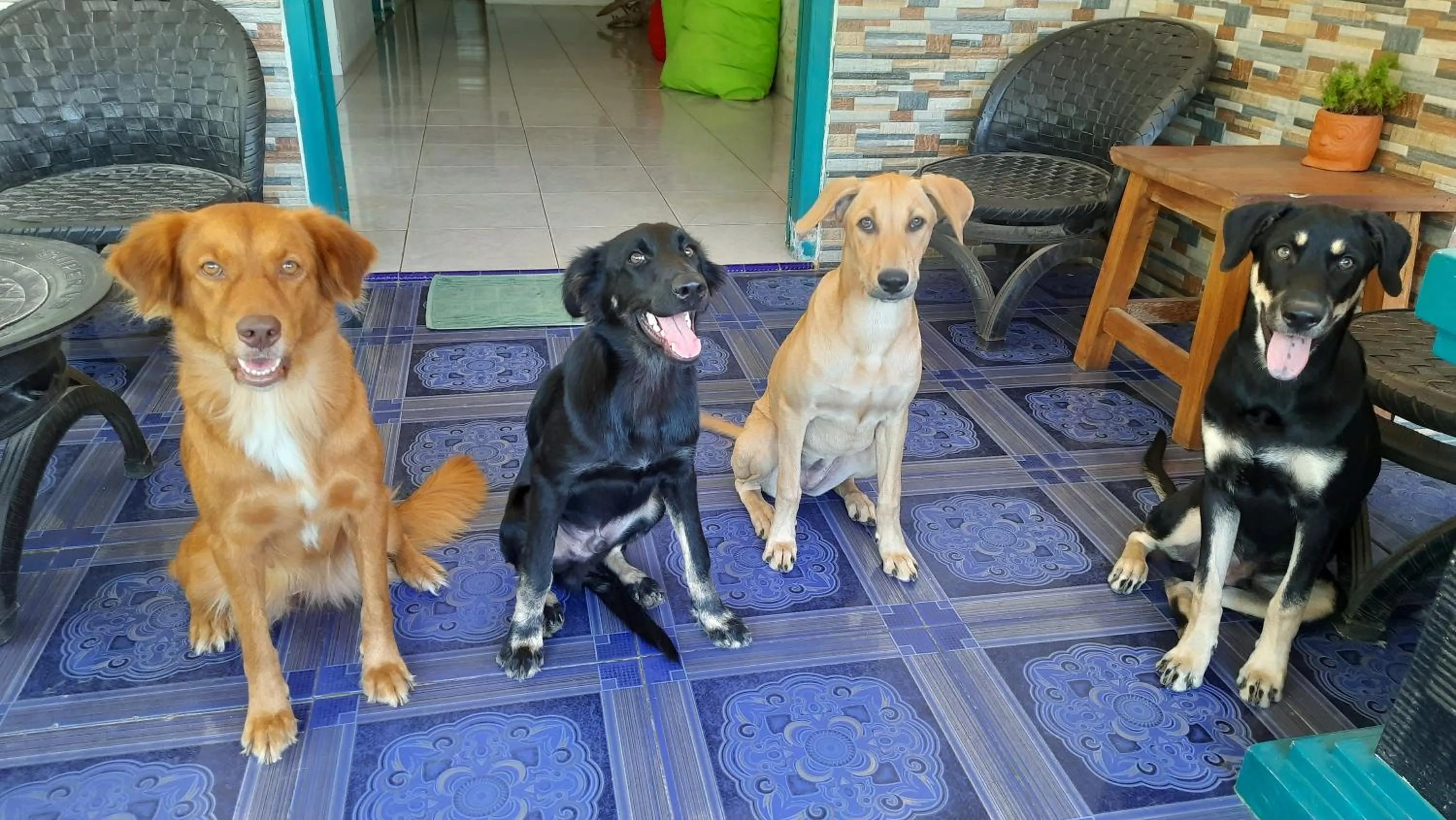 Patio in L'isola che...