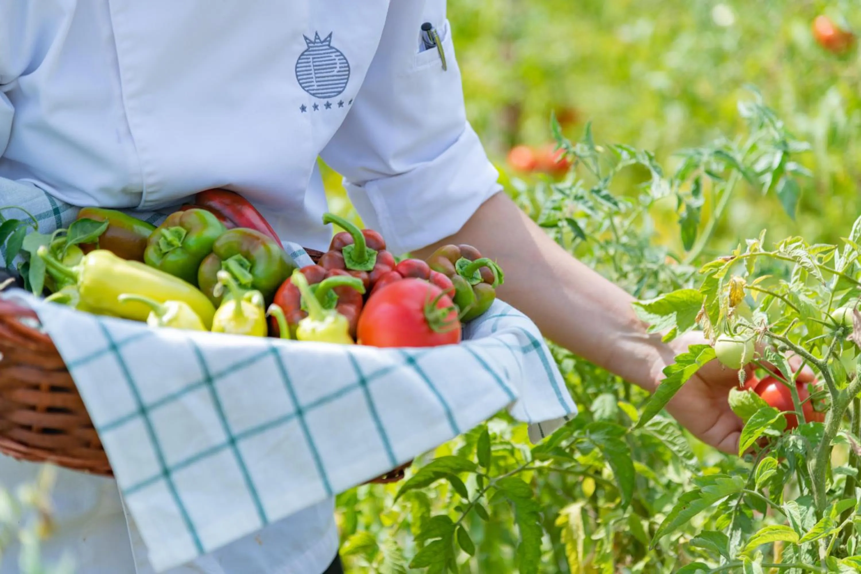 Natural landscape in Pomegranate Wellness Spa Hotel