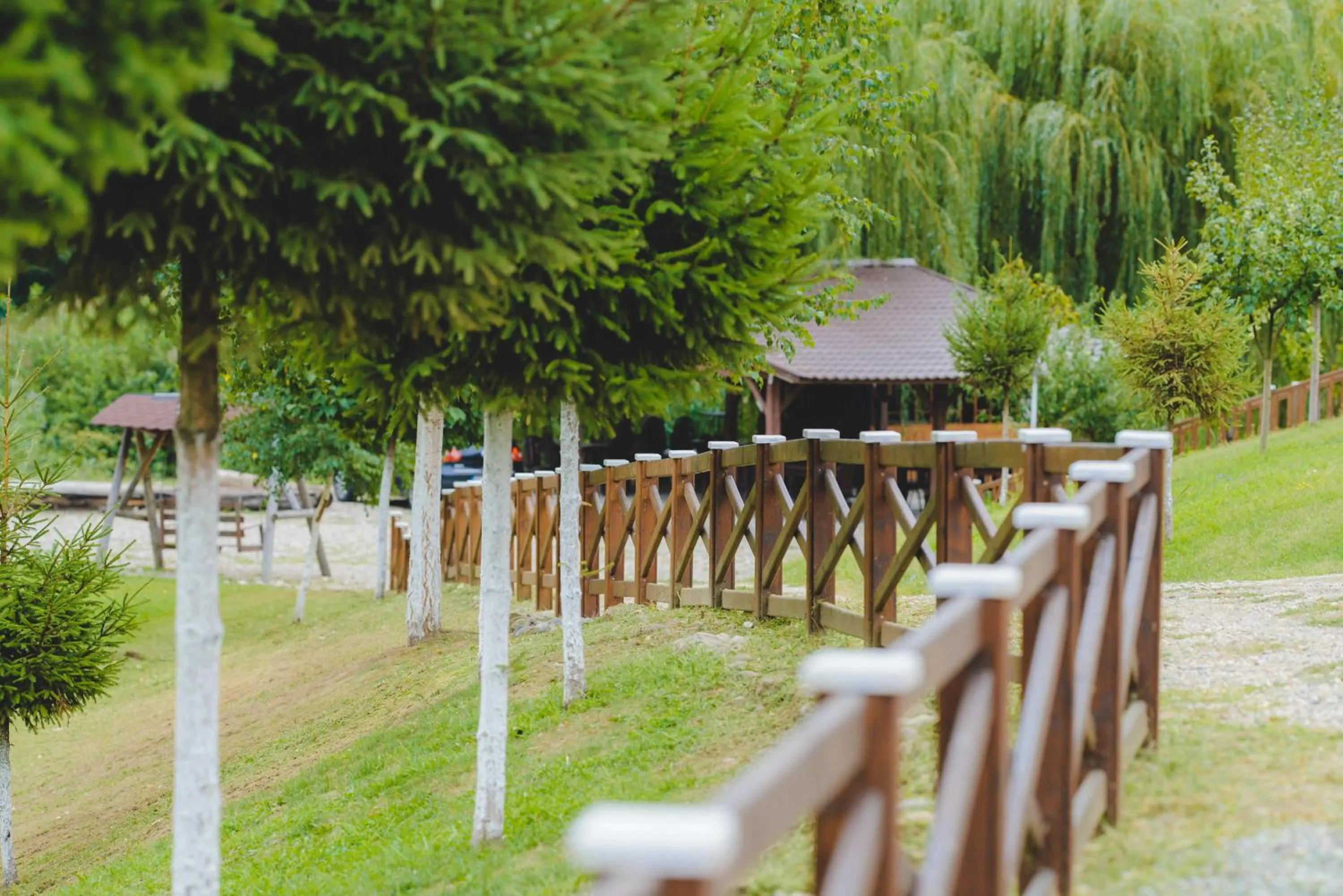 Garden in Hotel Class