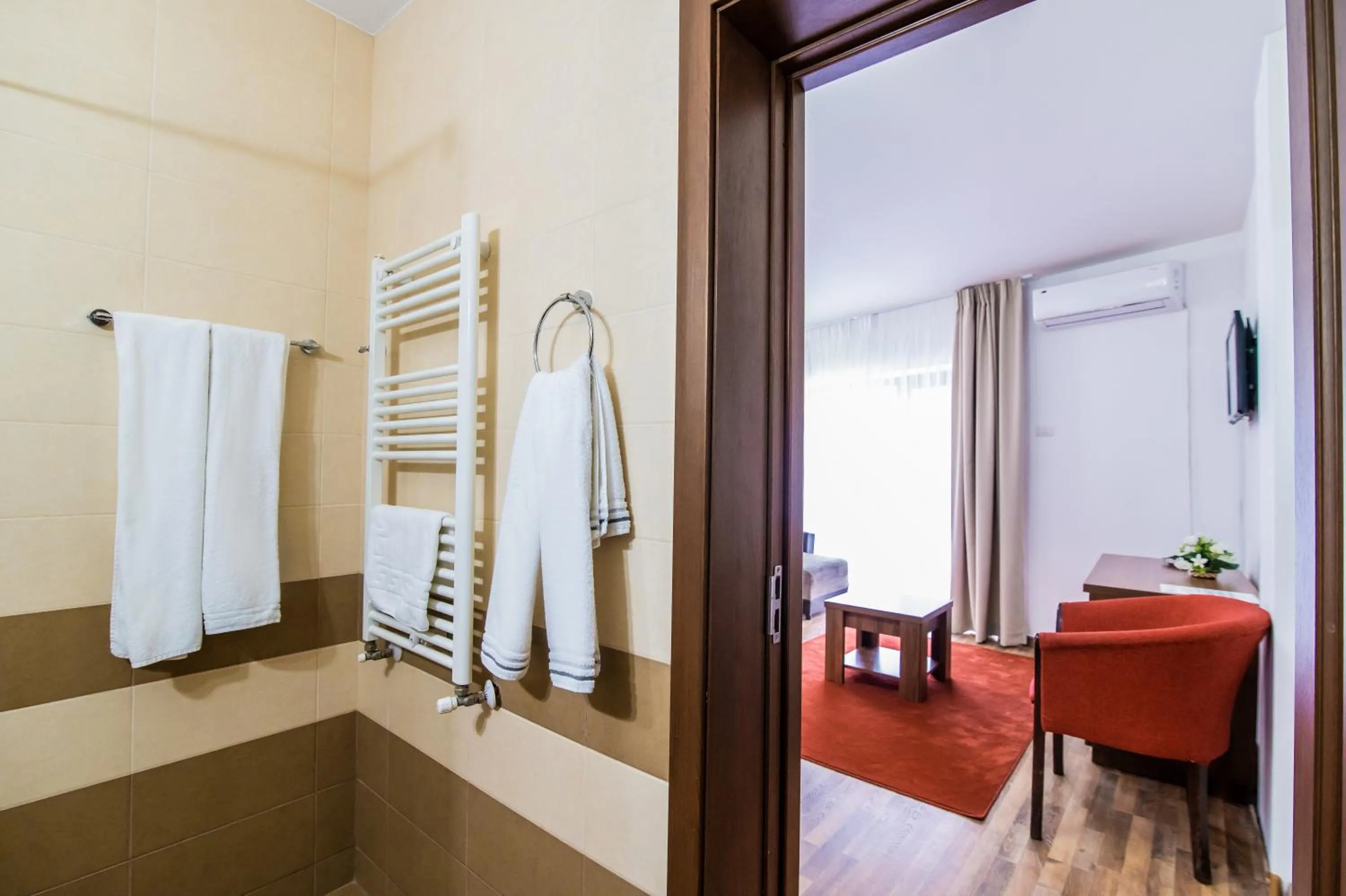 Toilet in Hotel Class