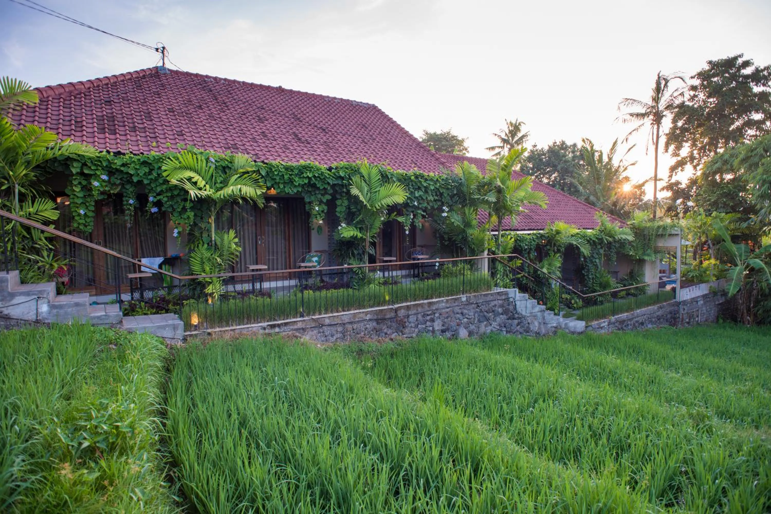 Day in Pangkung Sari Bed and Breakfast