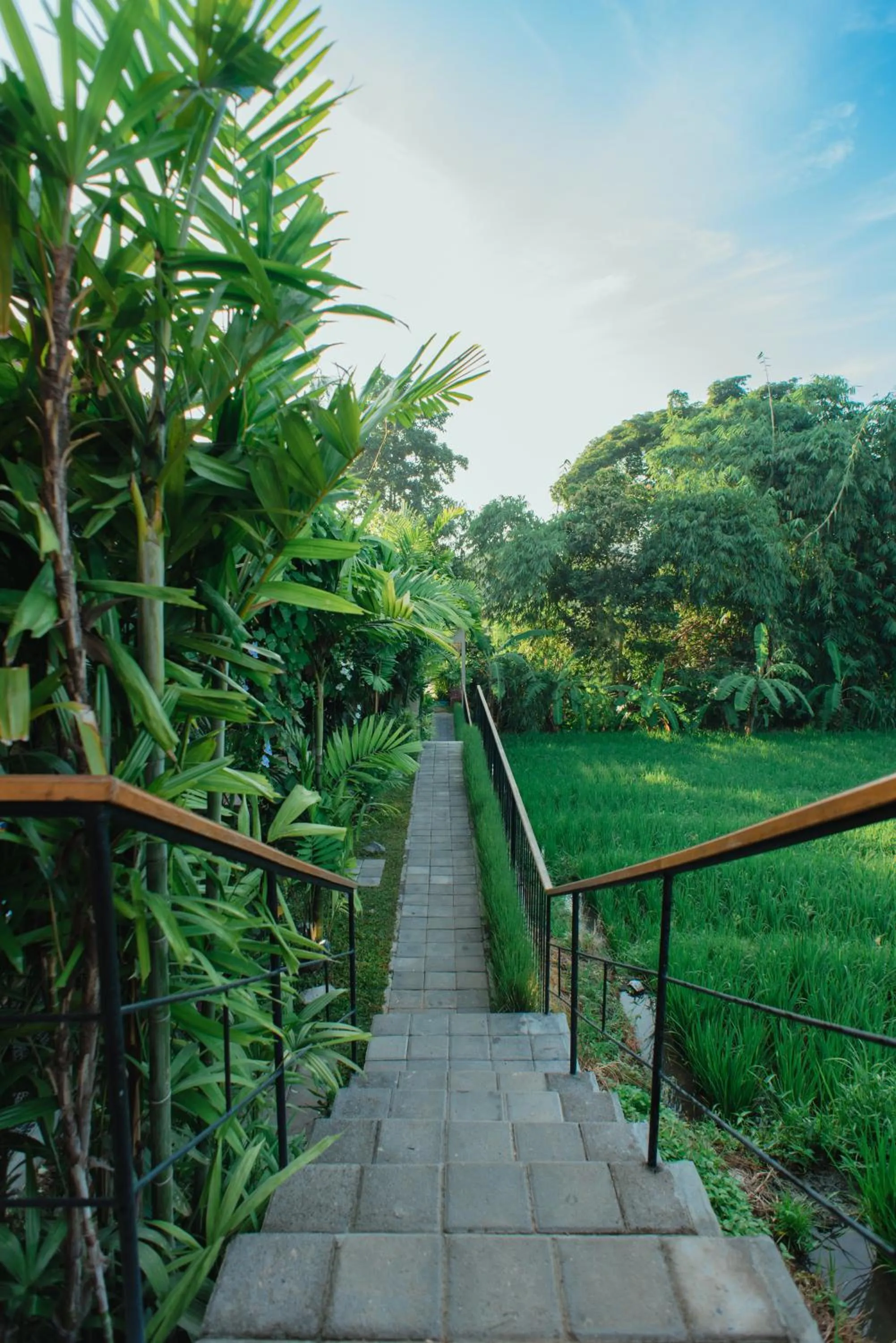 Natural landscape in Pangkung Sari Bed and Breakfast