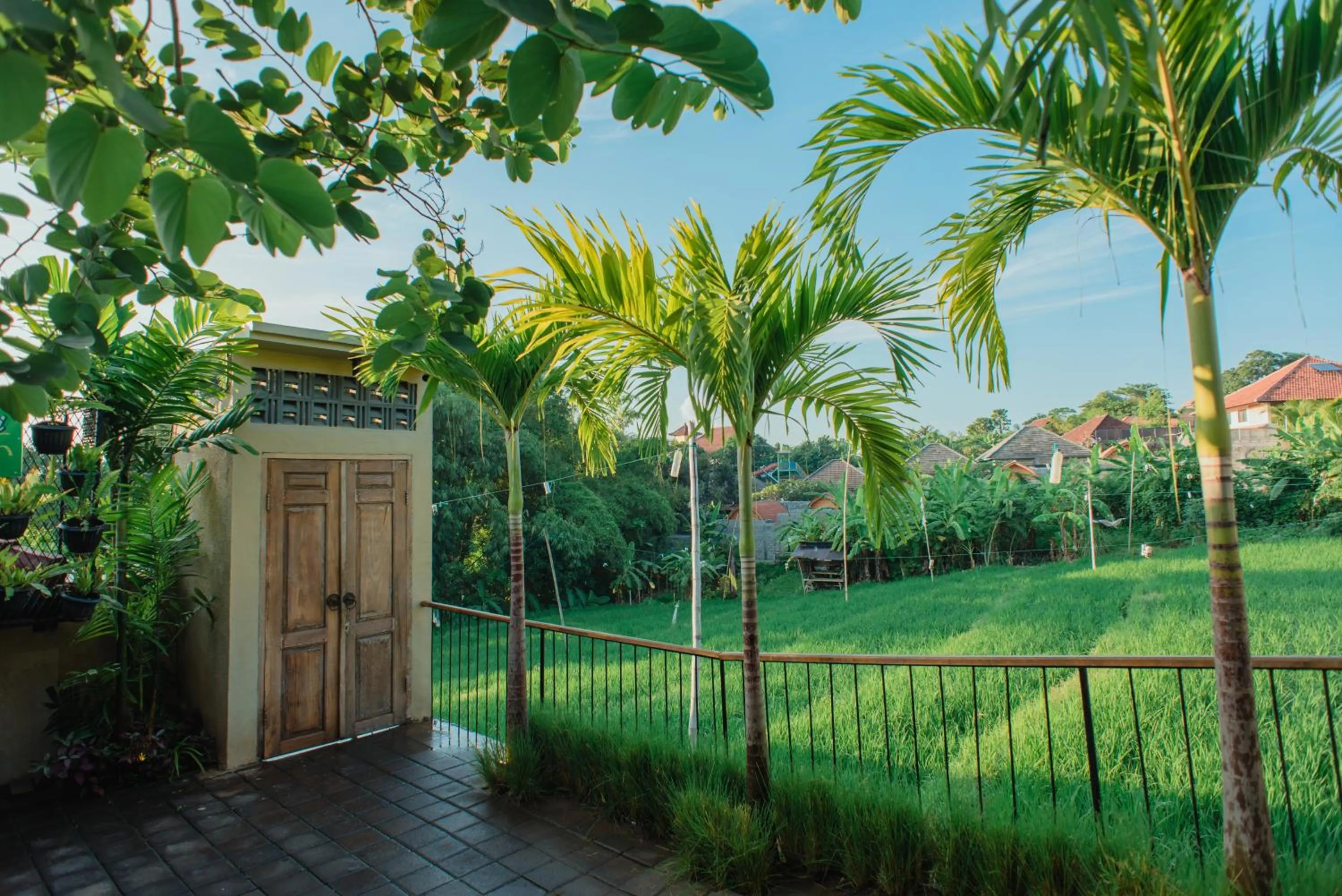 Natural landscape in Pangkung Sari Bed and Breakfast