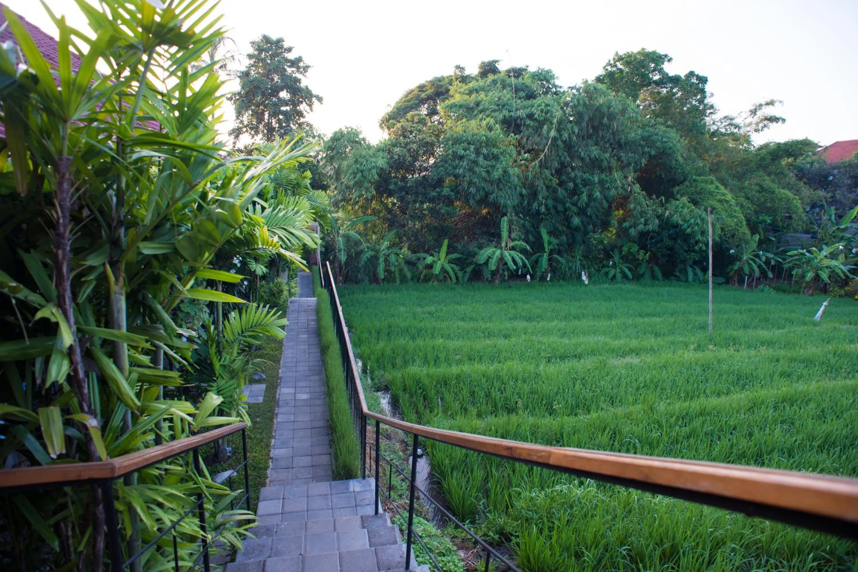 Natural landscape in Pangkung Sari Bed and Breakfast