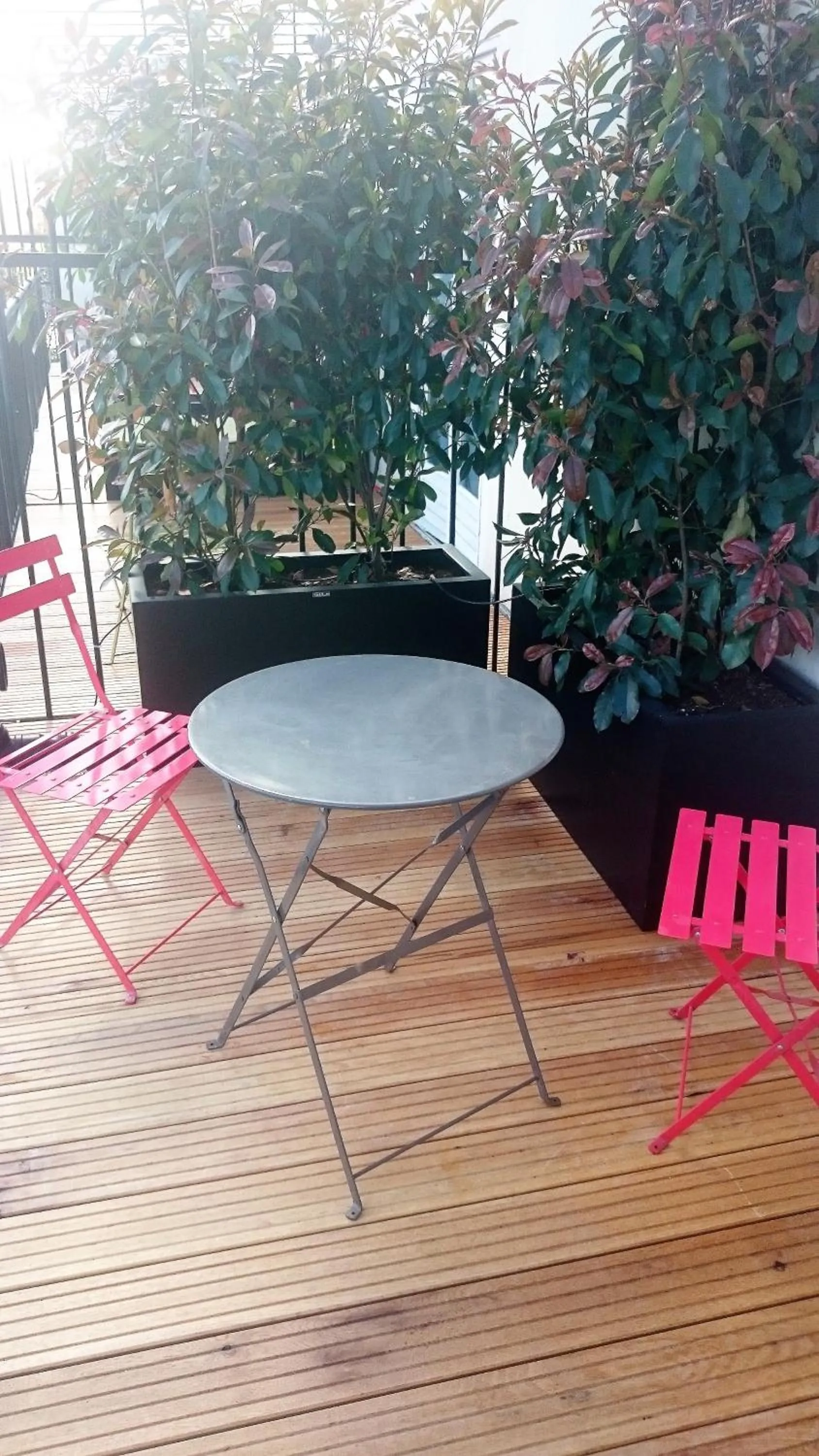 Balcony/Terrace in Hotel Aida Marais