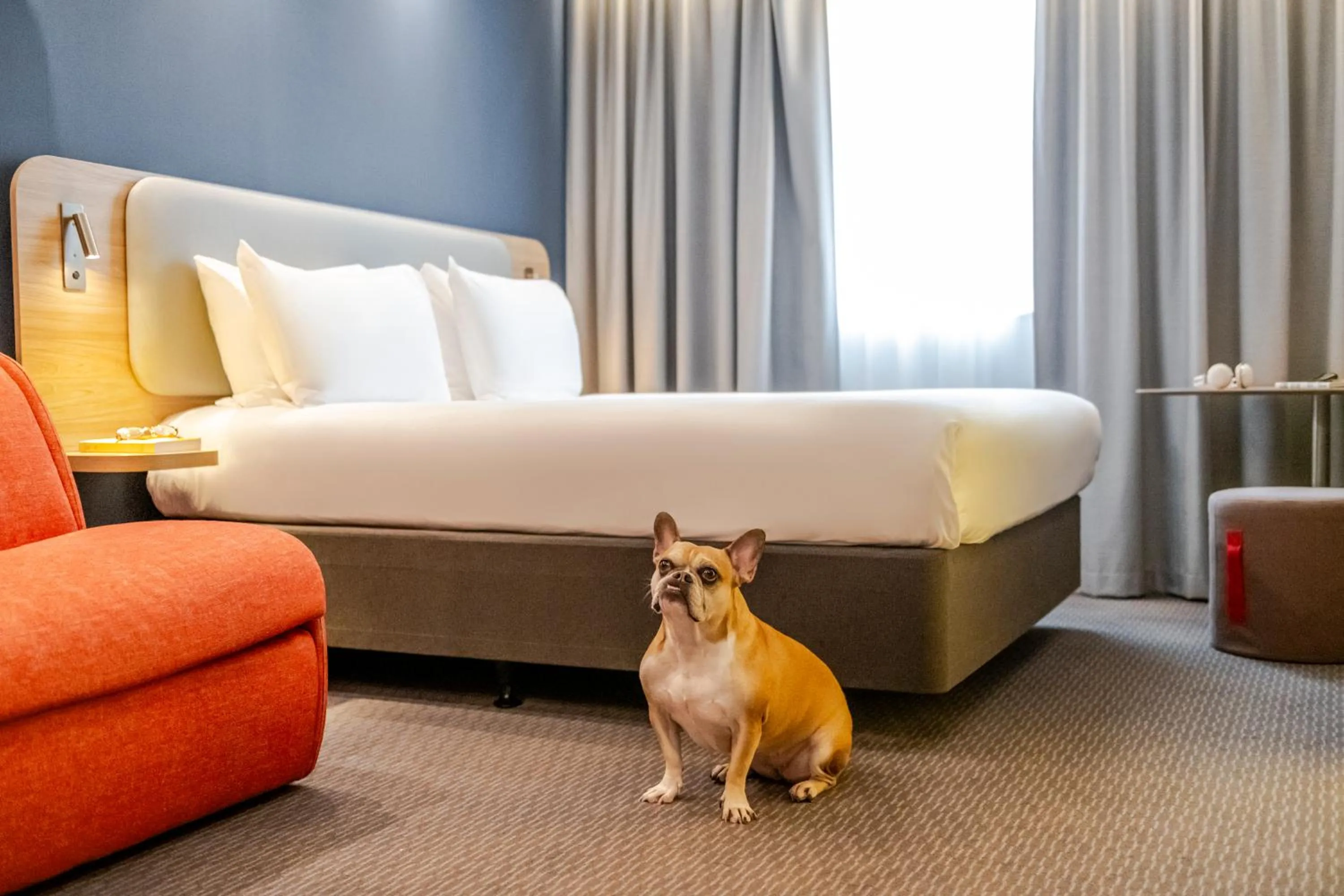 Pets, Bed in IBIS STYLES BORDEAUX LORMONT