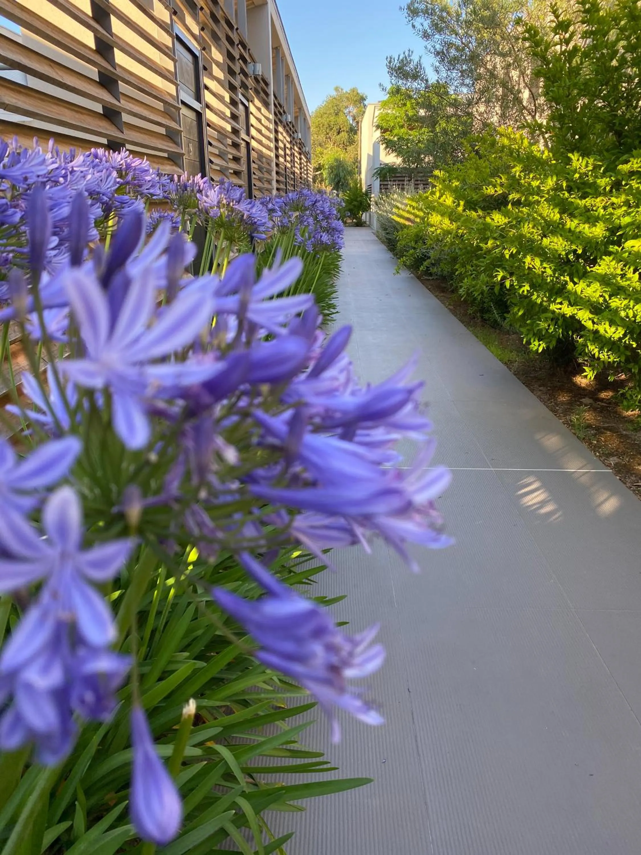 Garden in Costa Nera